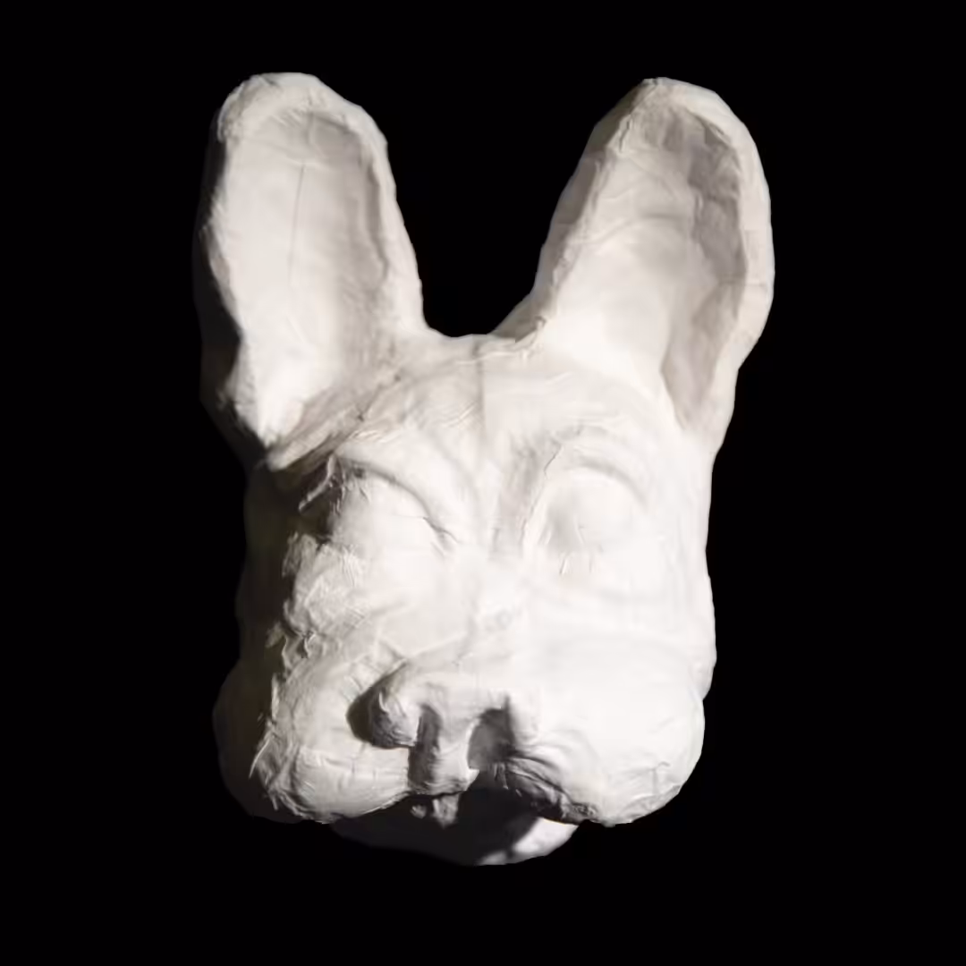 DOG HEAD