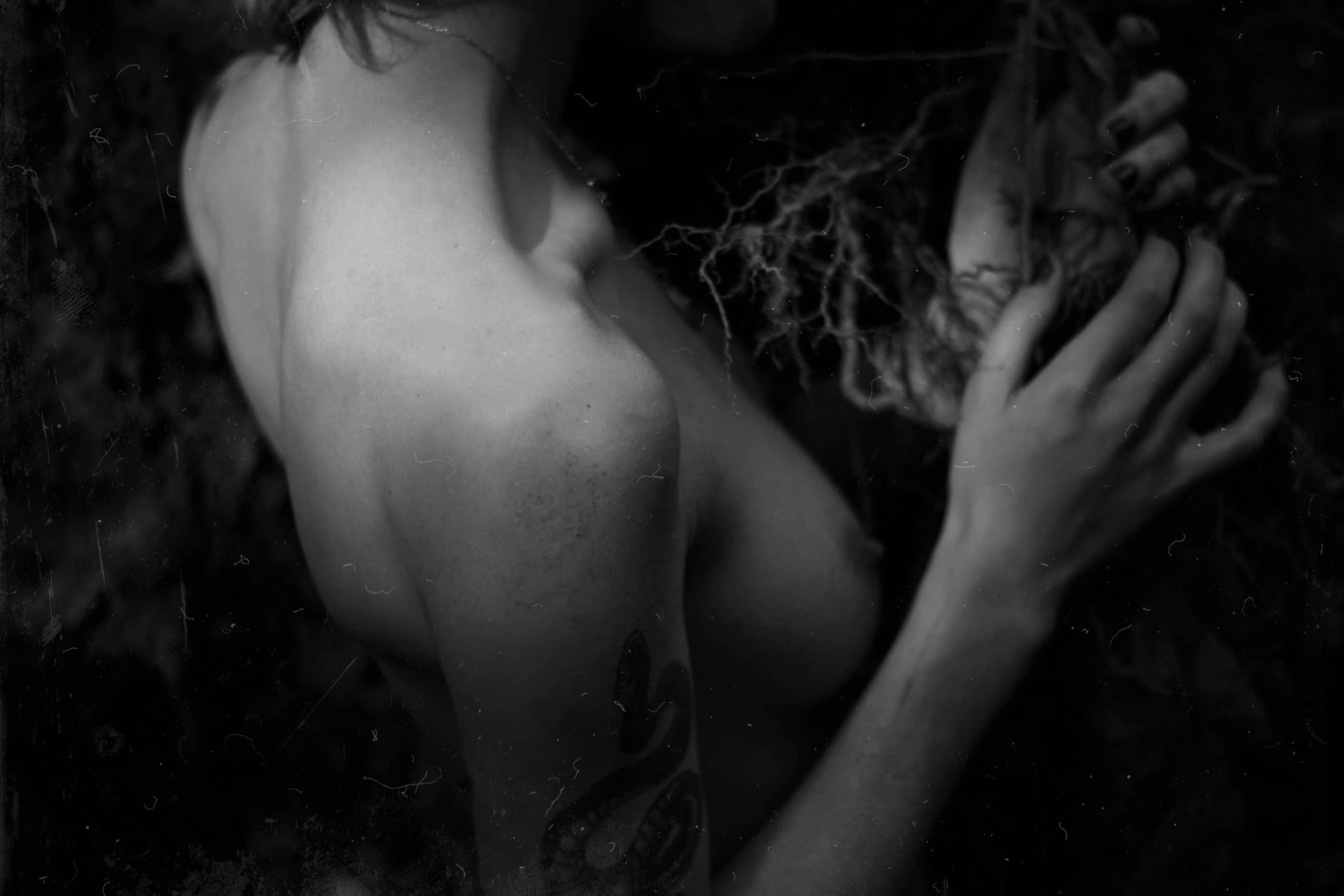 Snake Roots