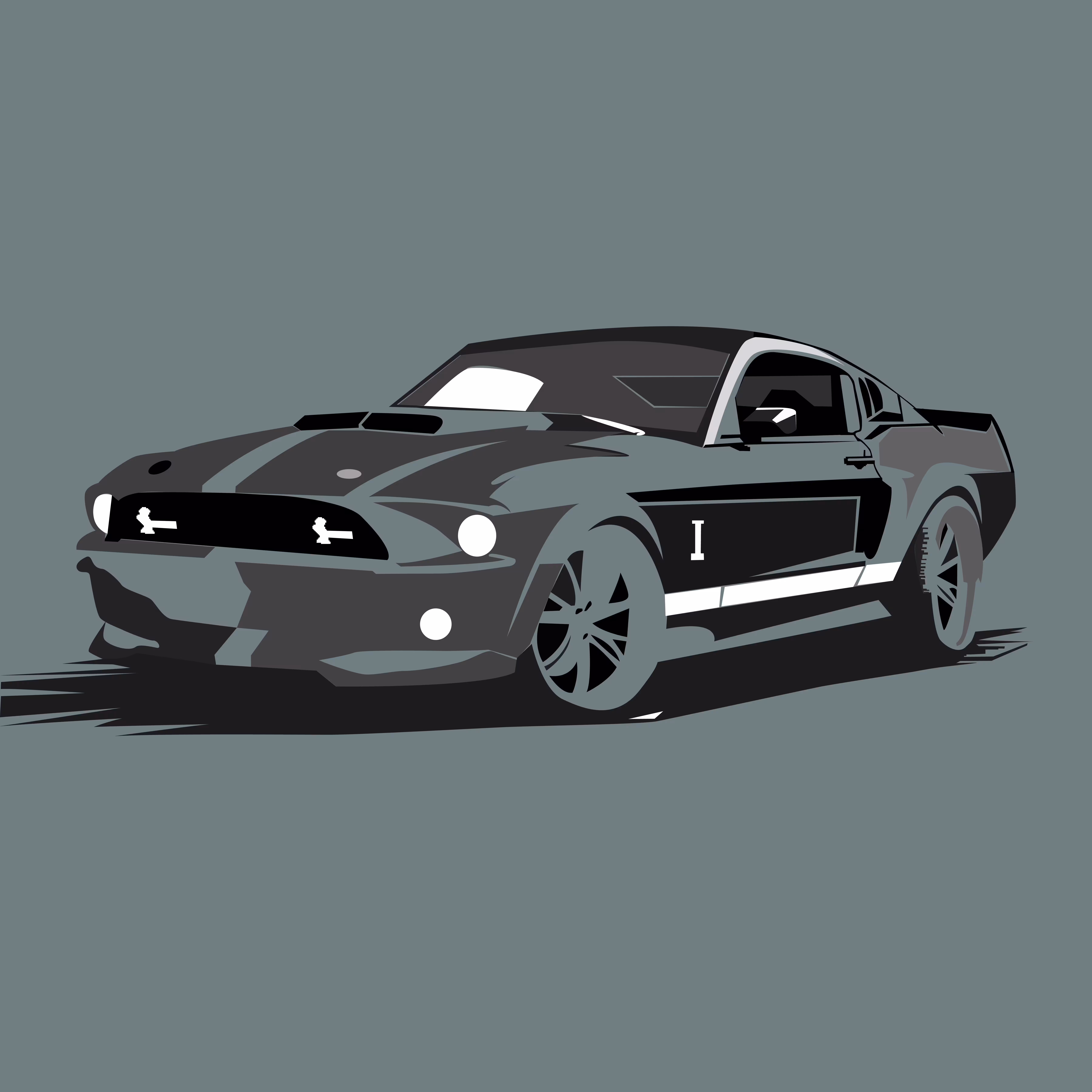 GT - 500 #2