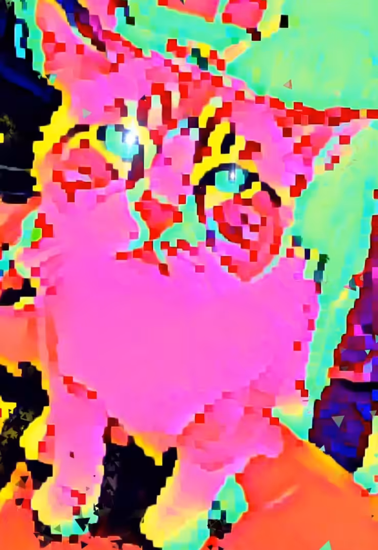 The 8Bit Krypto Cat!