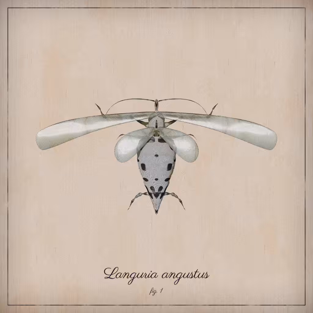 ProcGen Entomology #465