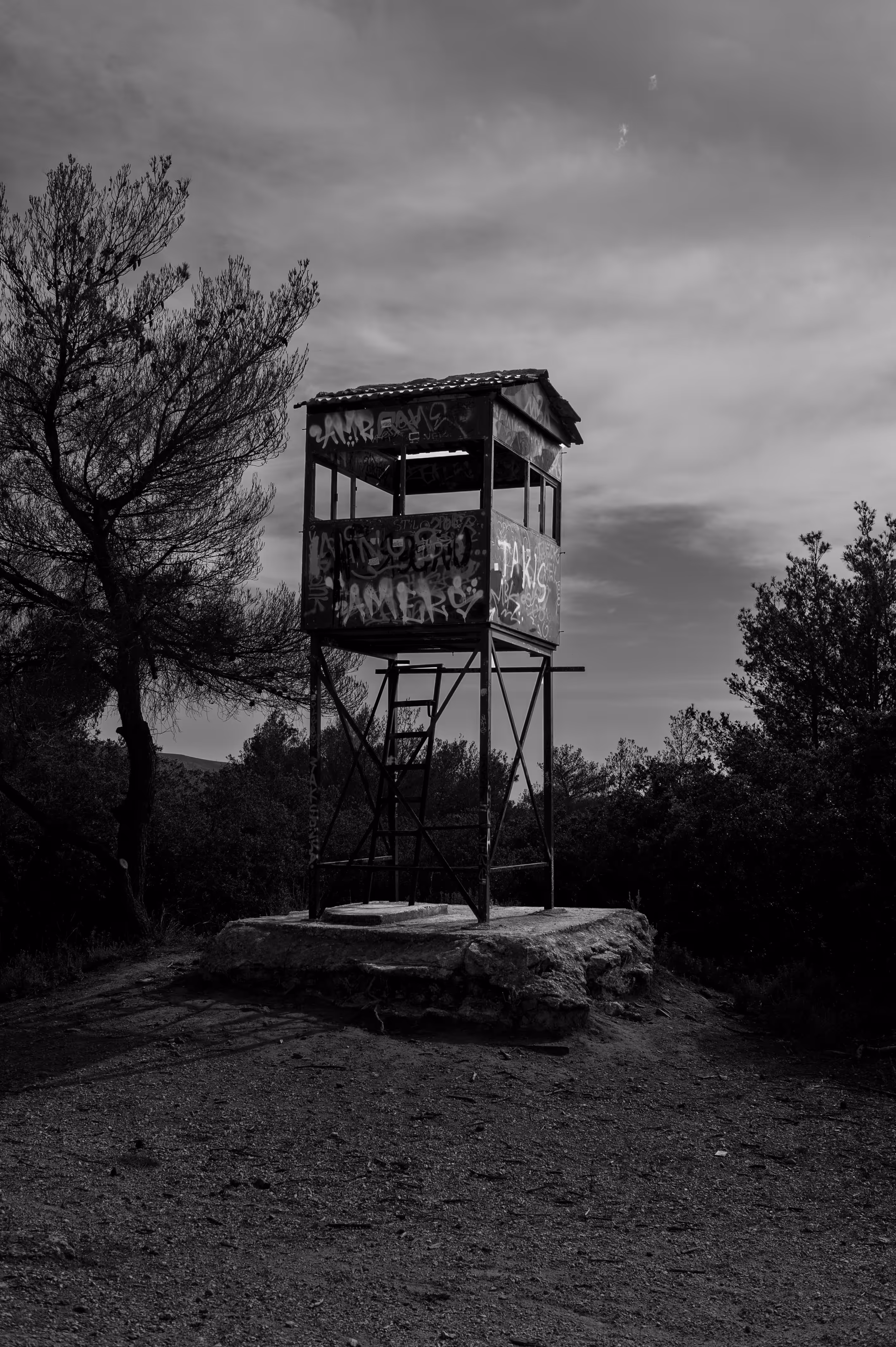 The Fire Tower