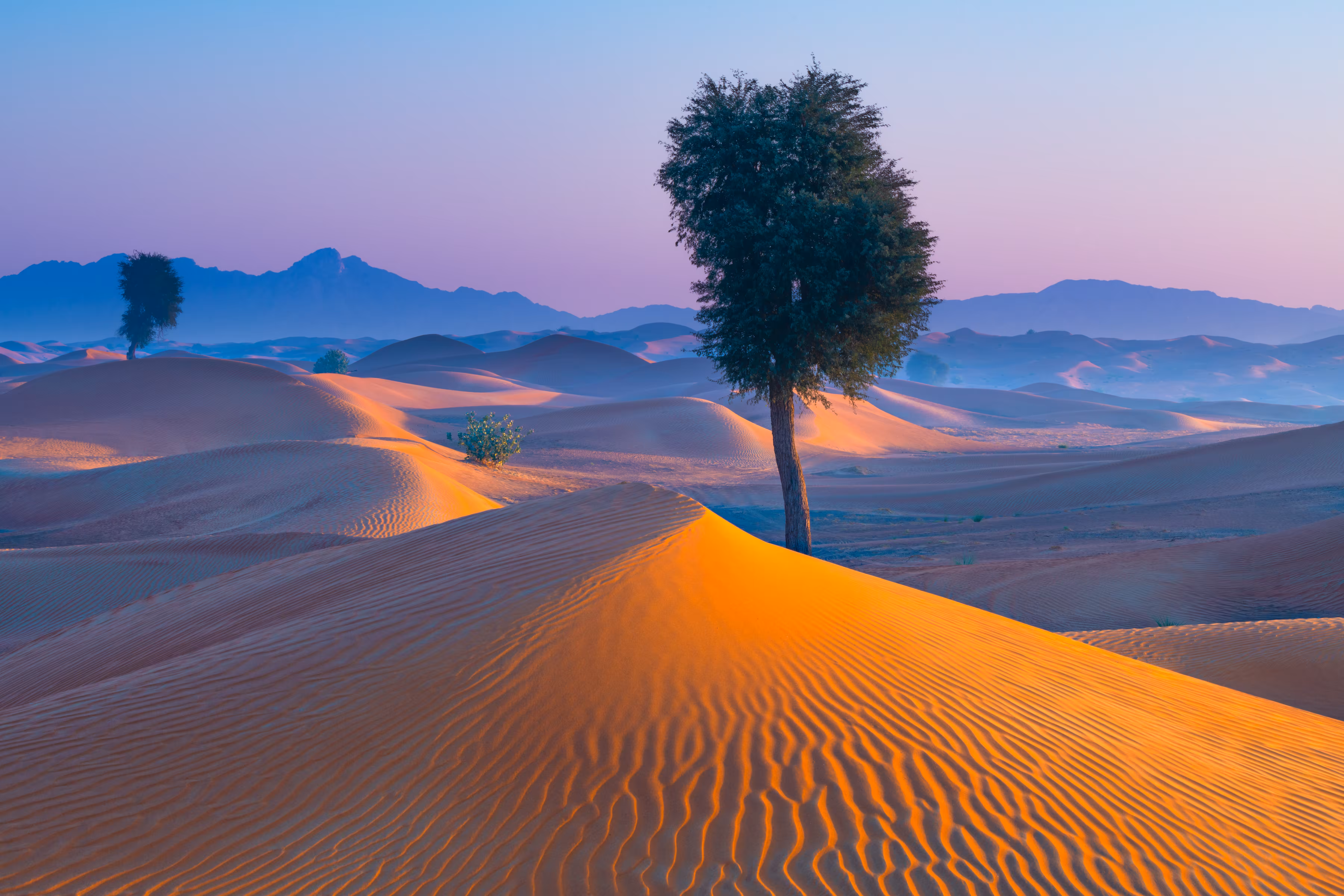 UAE Desertscapes 4
