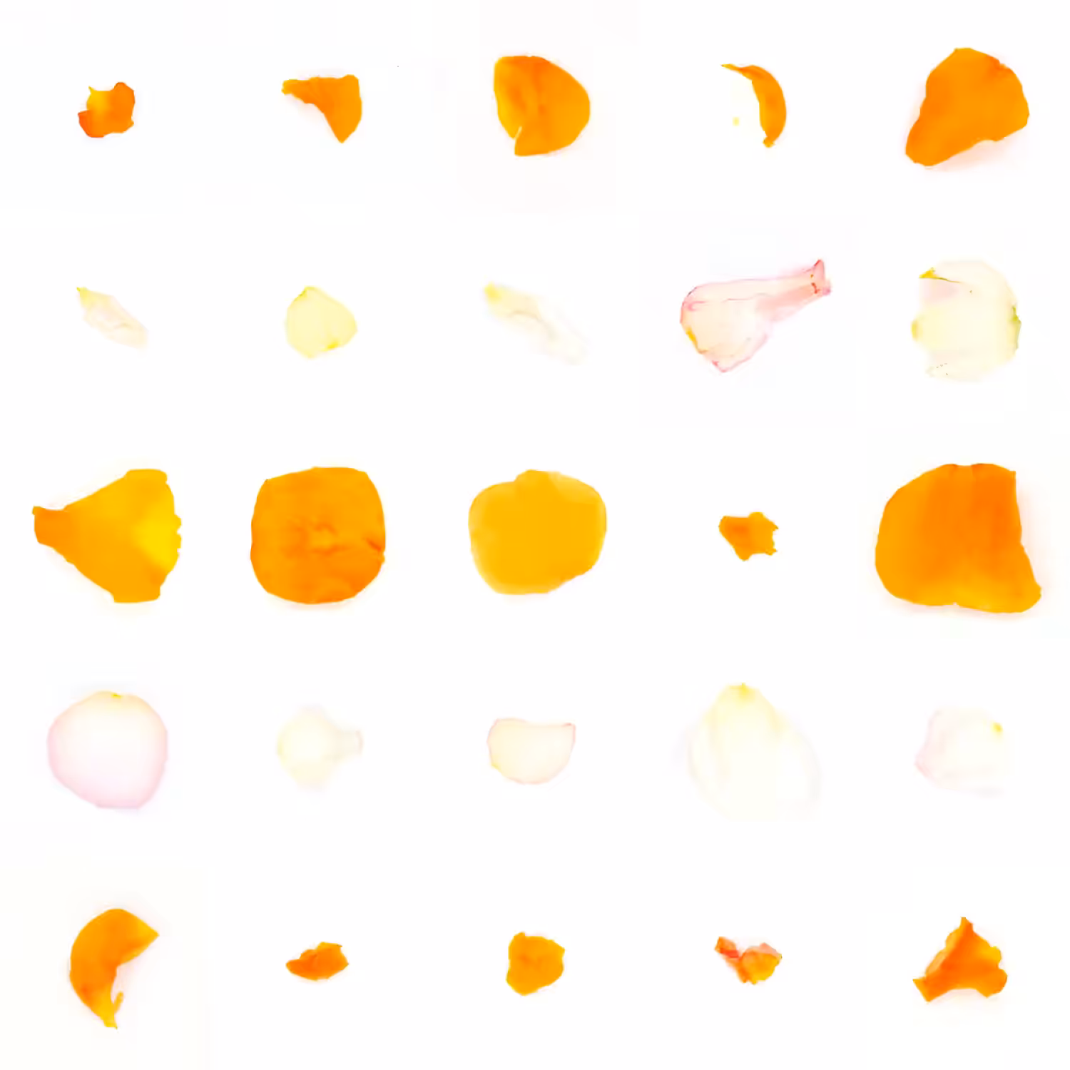 Infinite Petals 5x5#20842