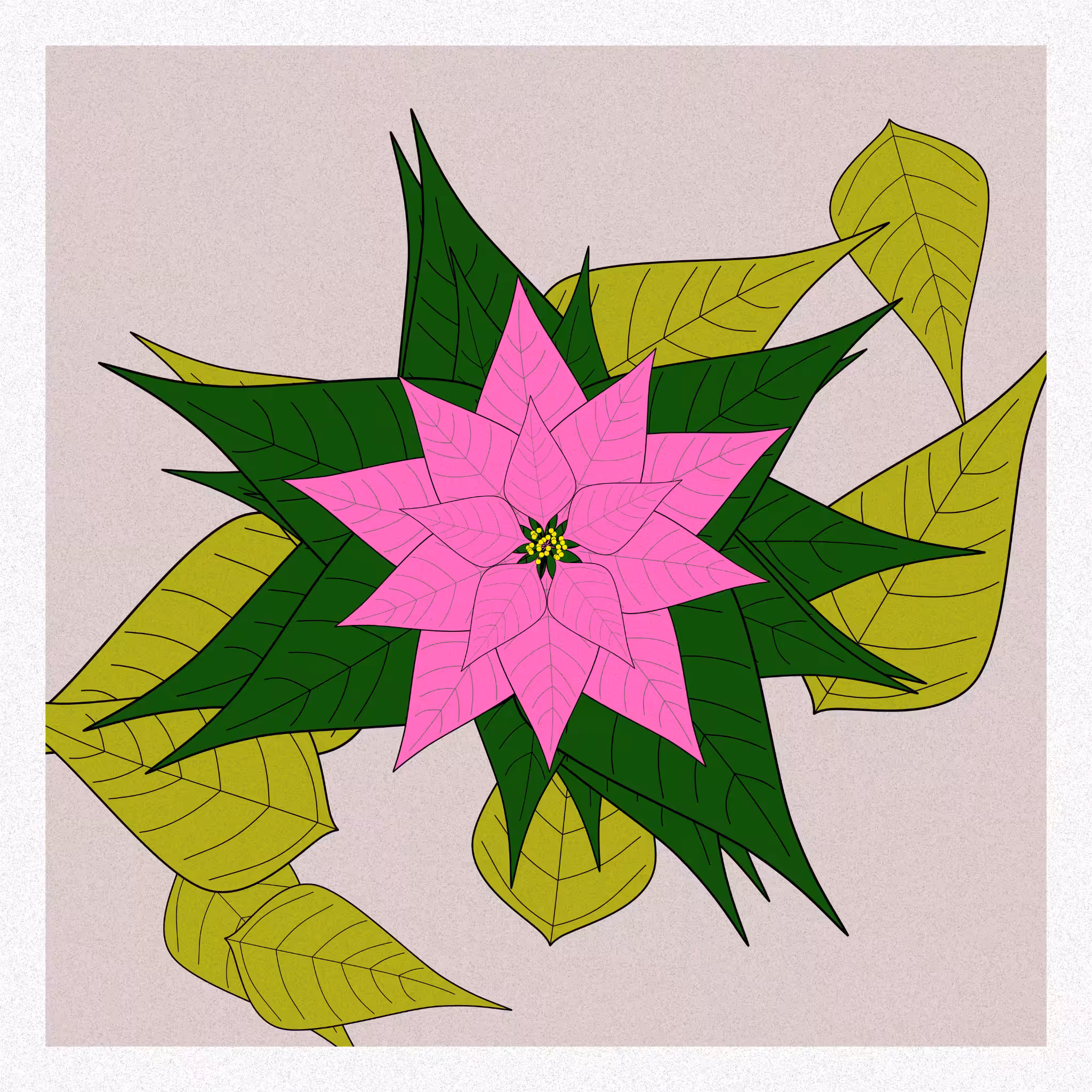 Flowers #150