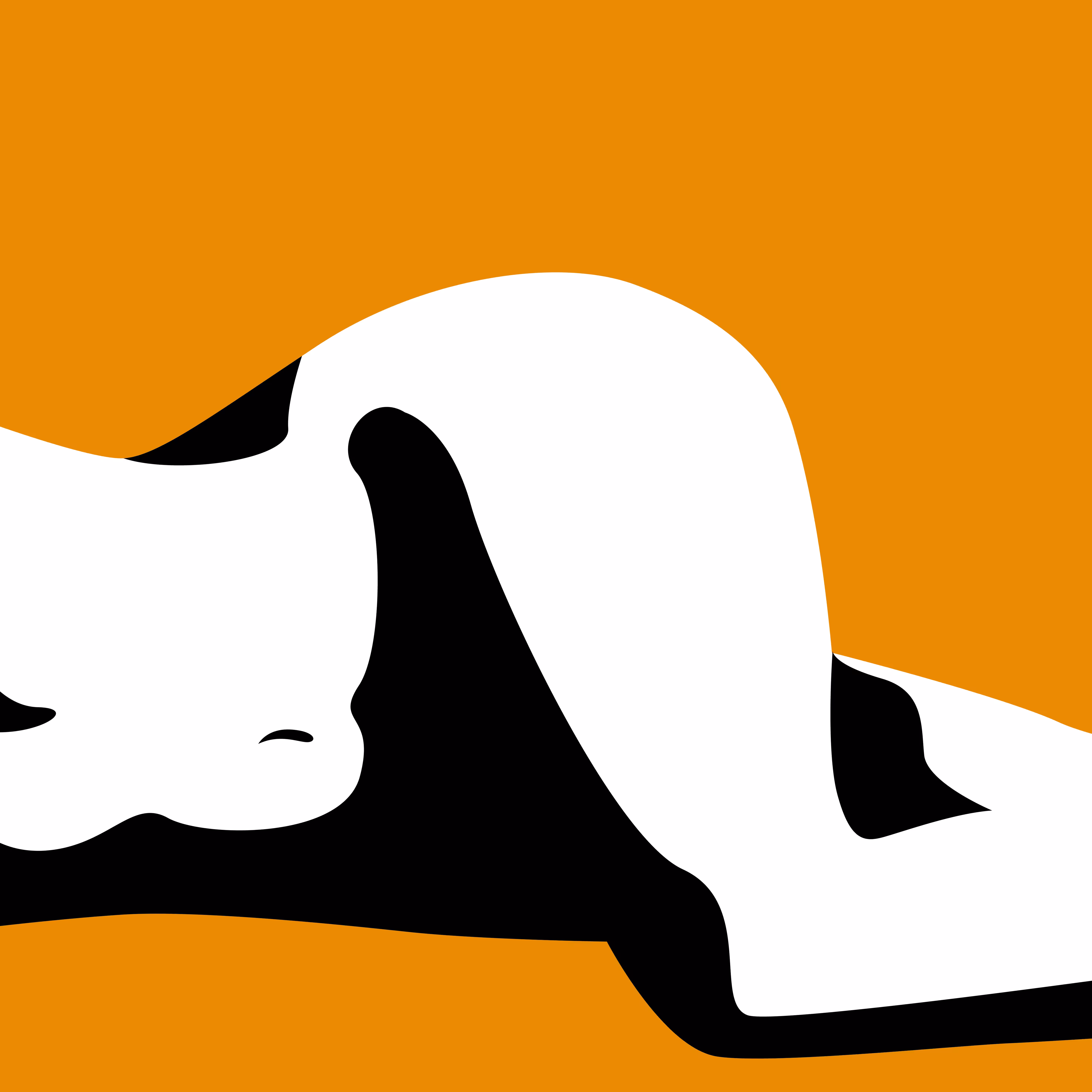 Chaotic Erotic