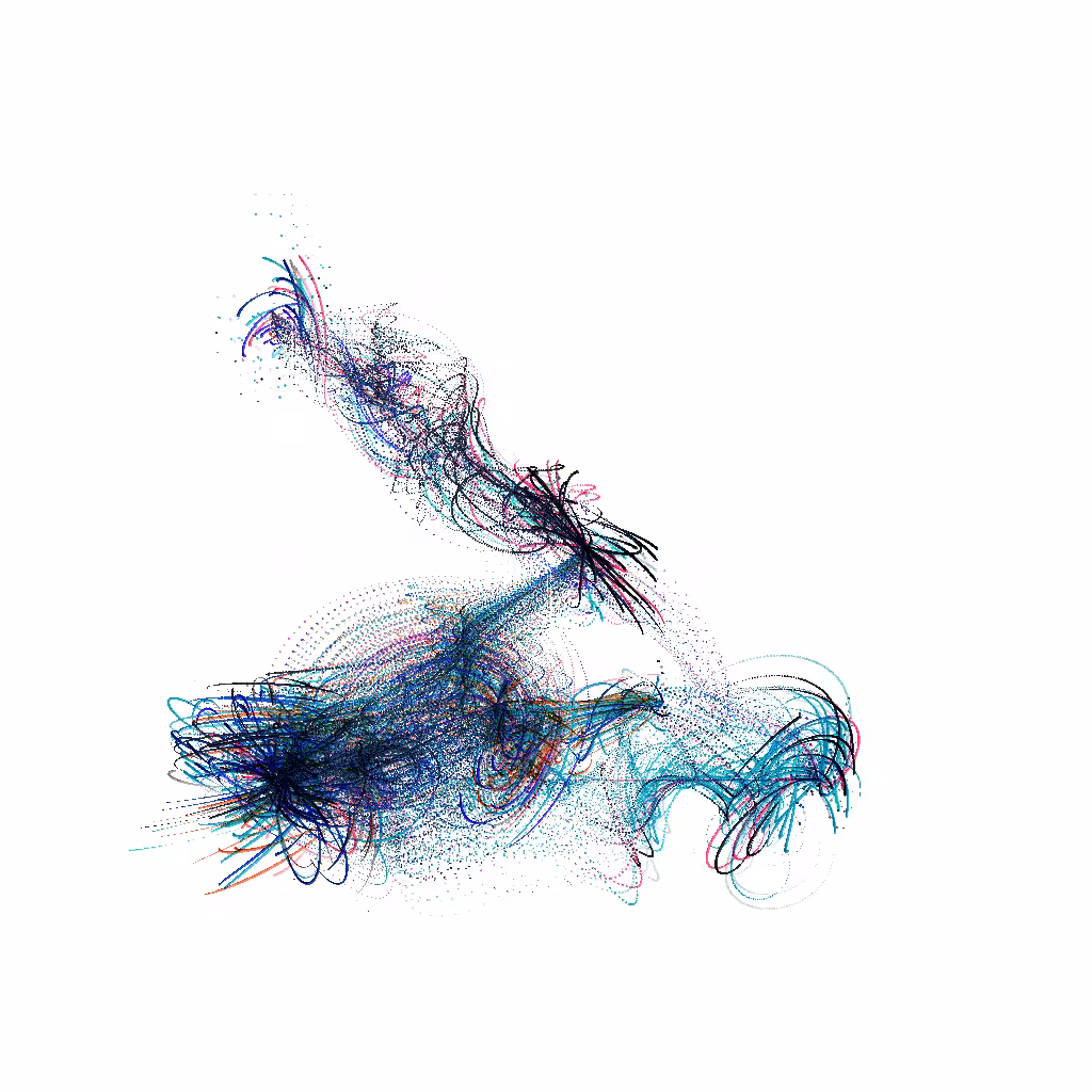 Birds #96