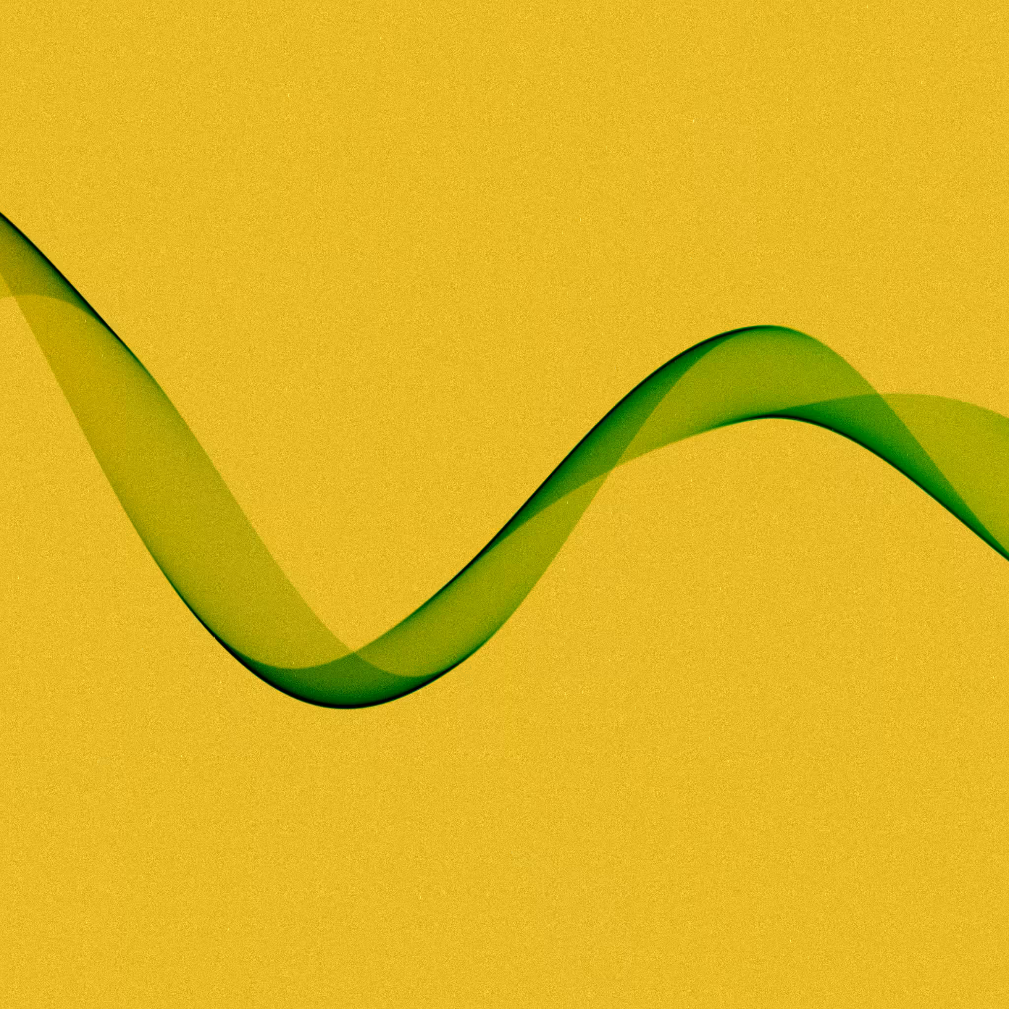 WAVELENGTHS #81