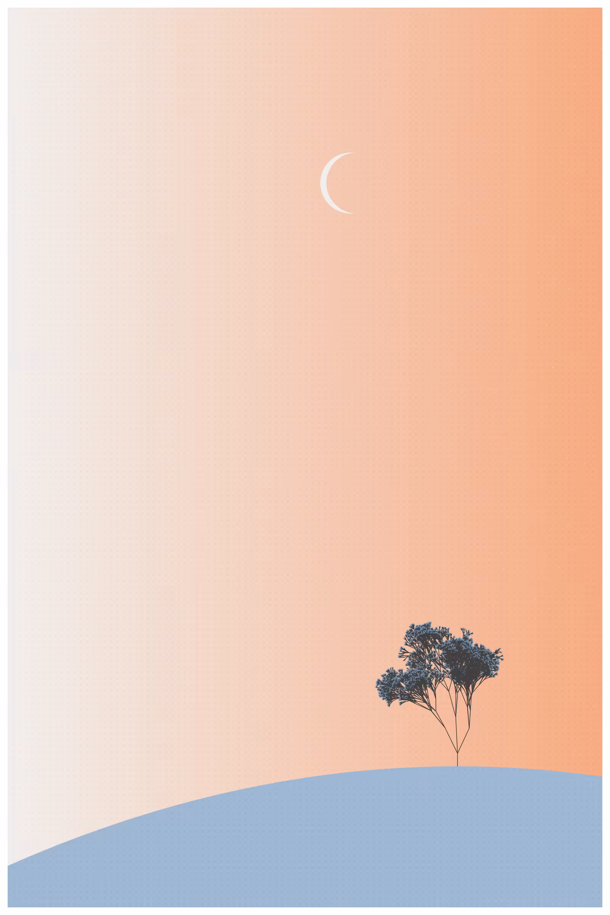 Ecos de Calma #14
