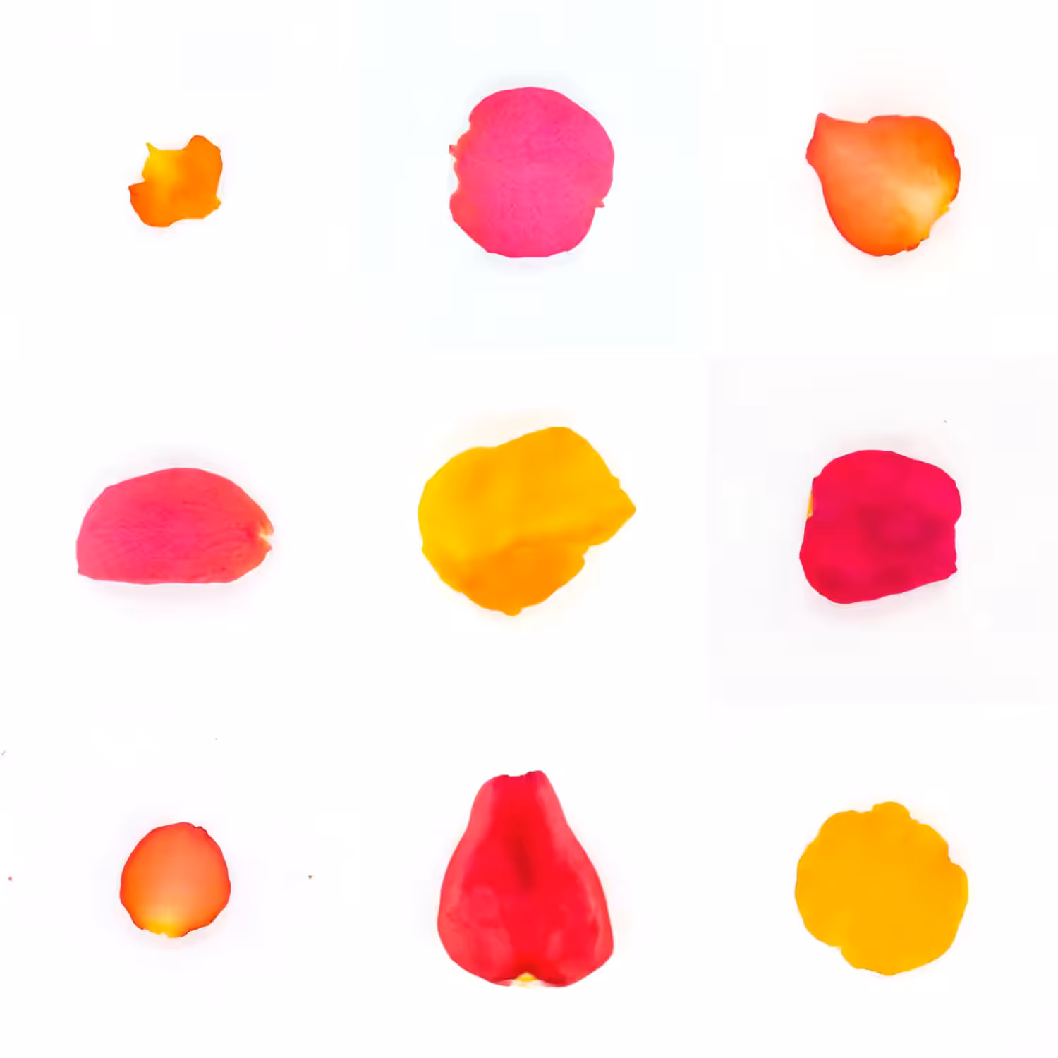 Infinite Petals 3x3#3101