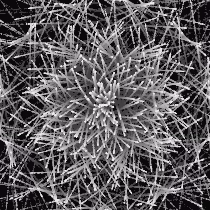salt evolver #11