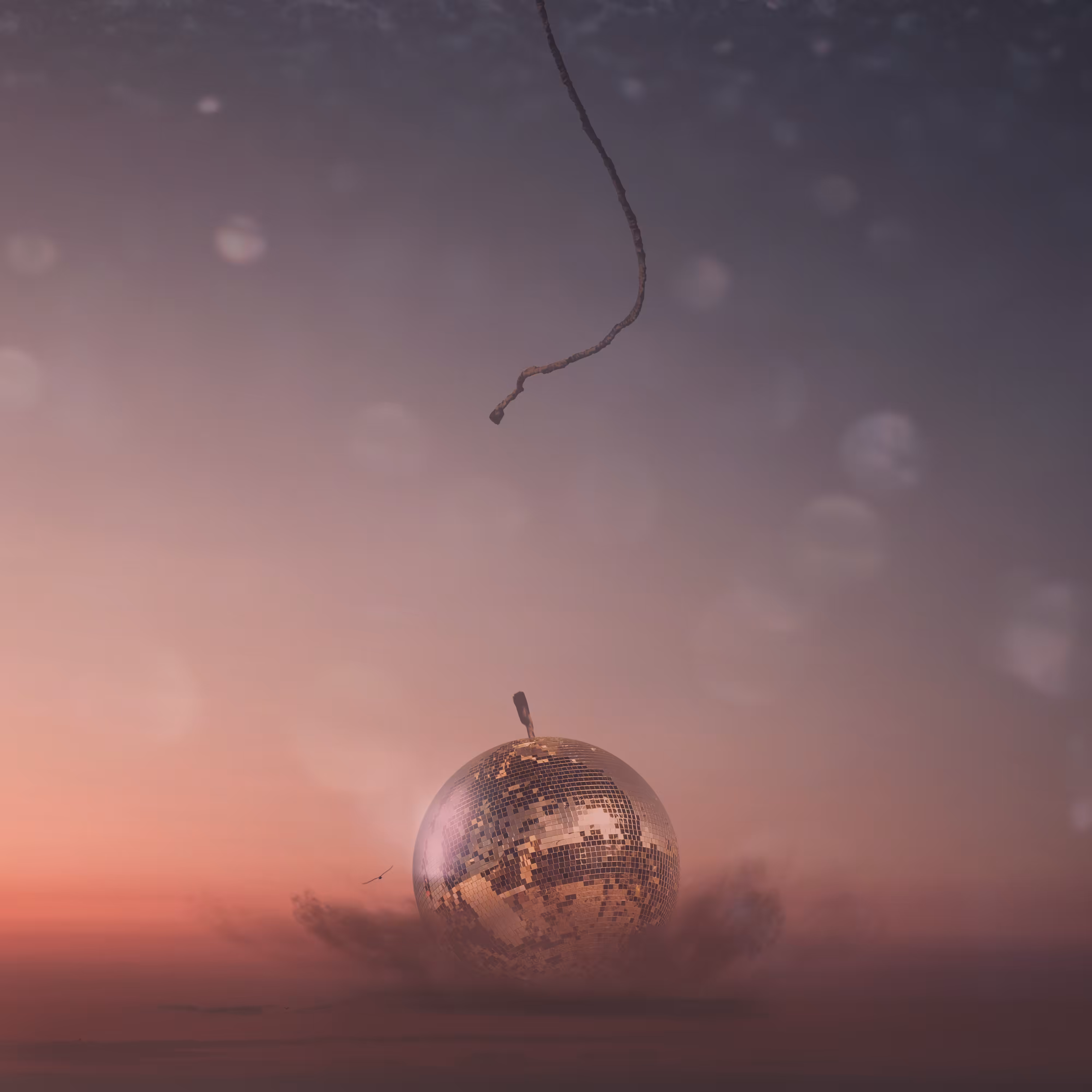 mirror ball