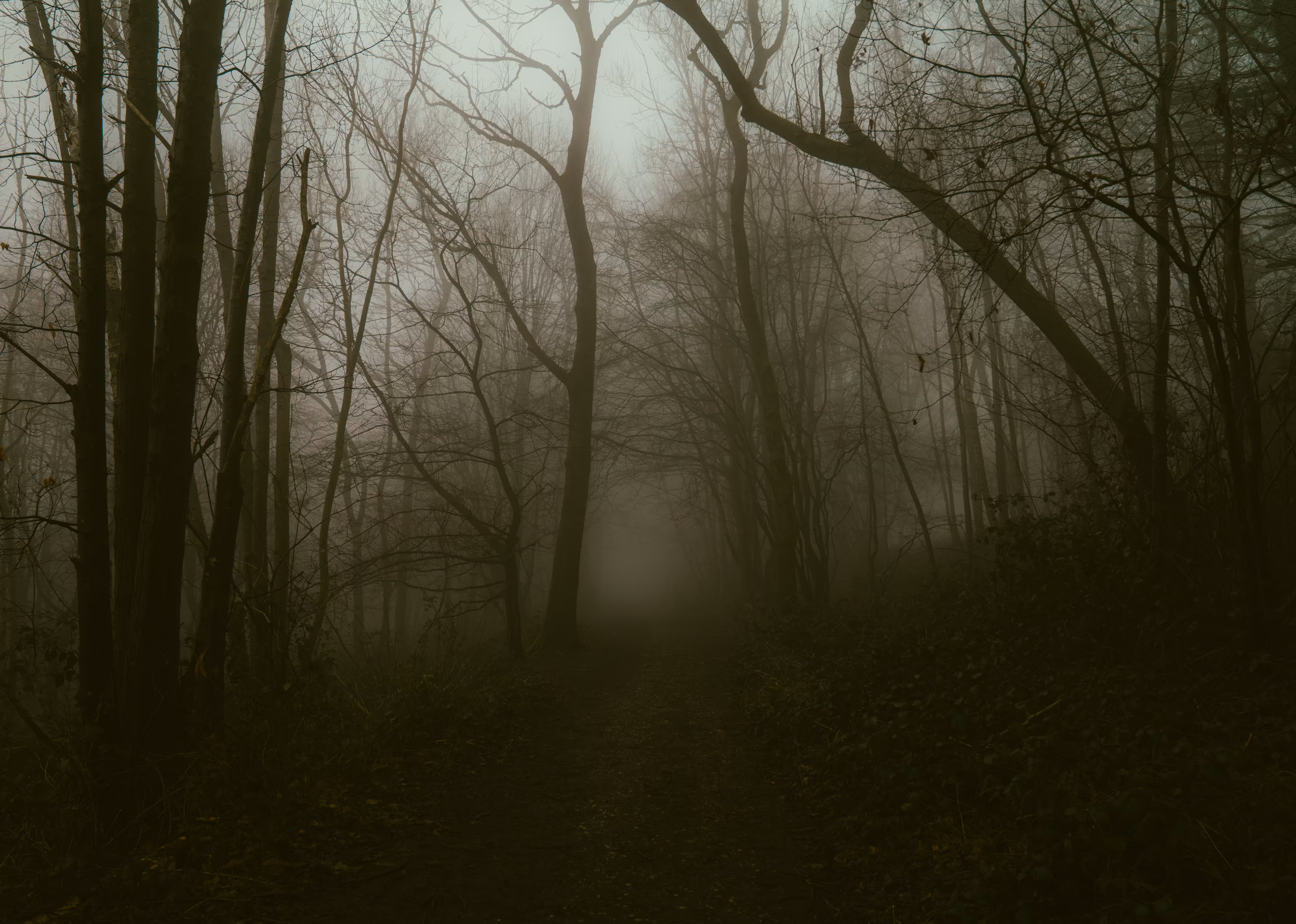 The quietest morning