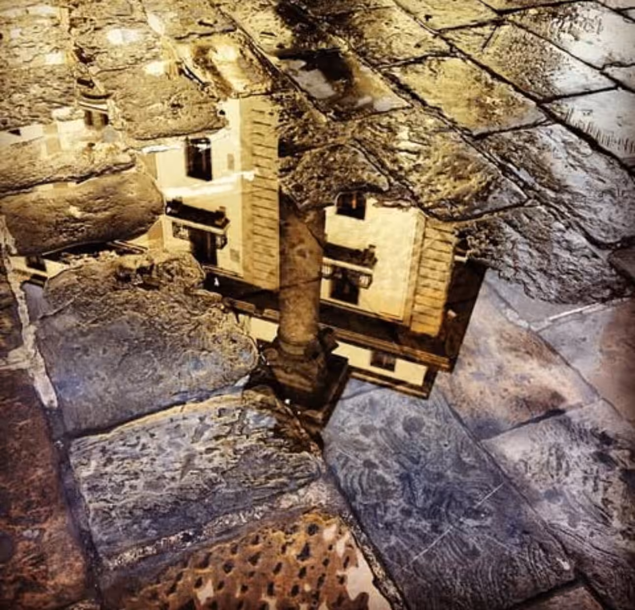 Timeless Reflection