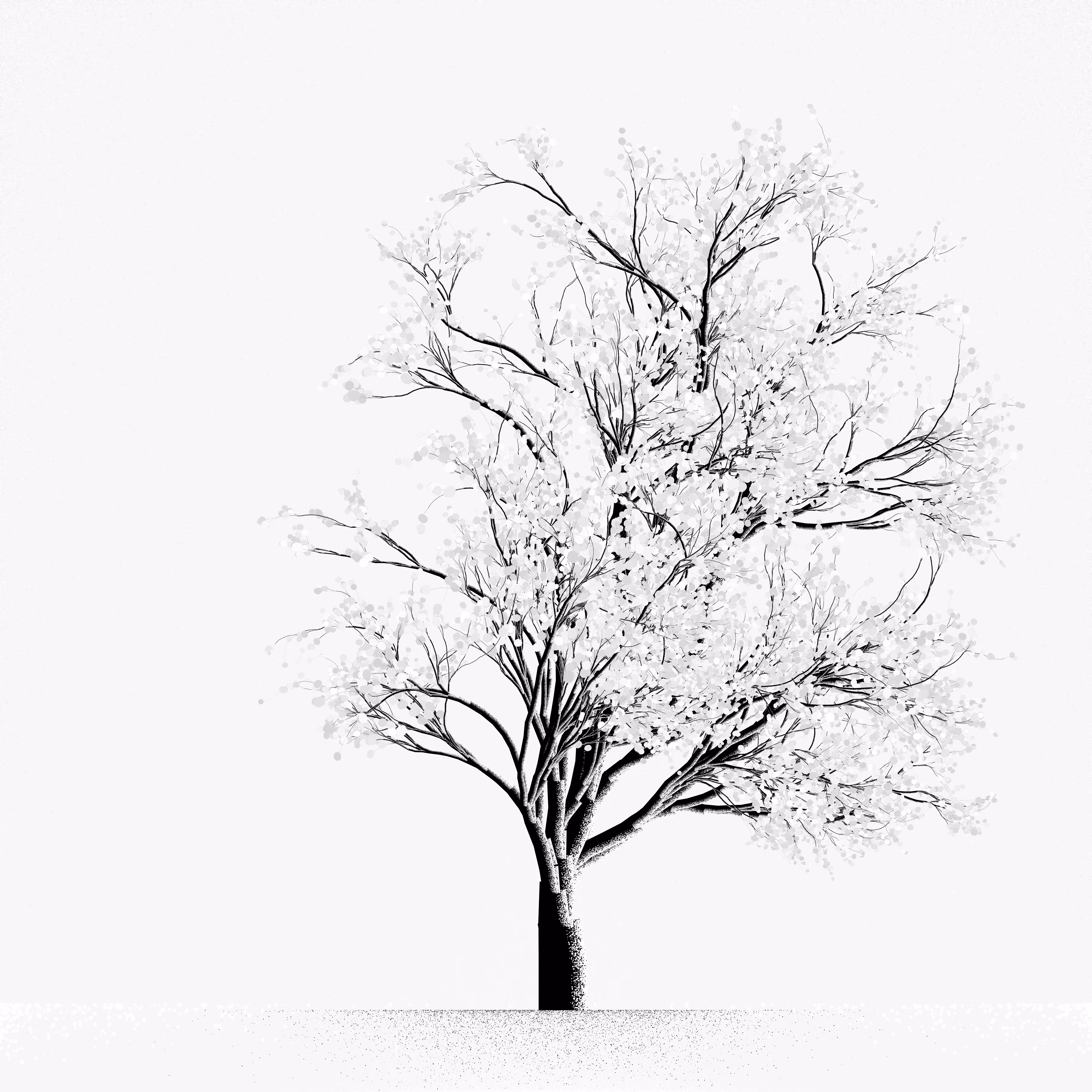 Snow Tree #23
