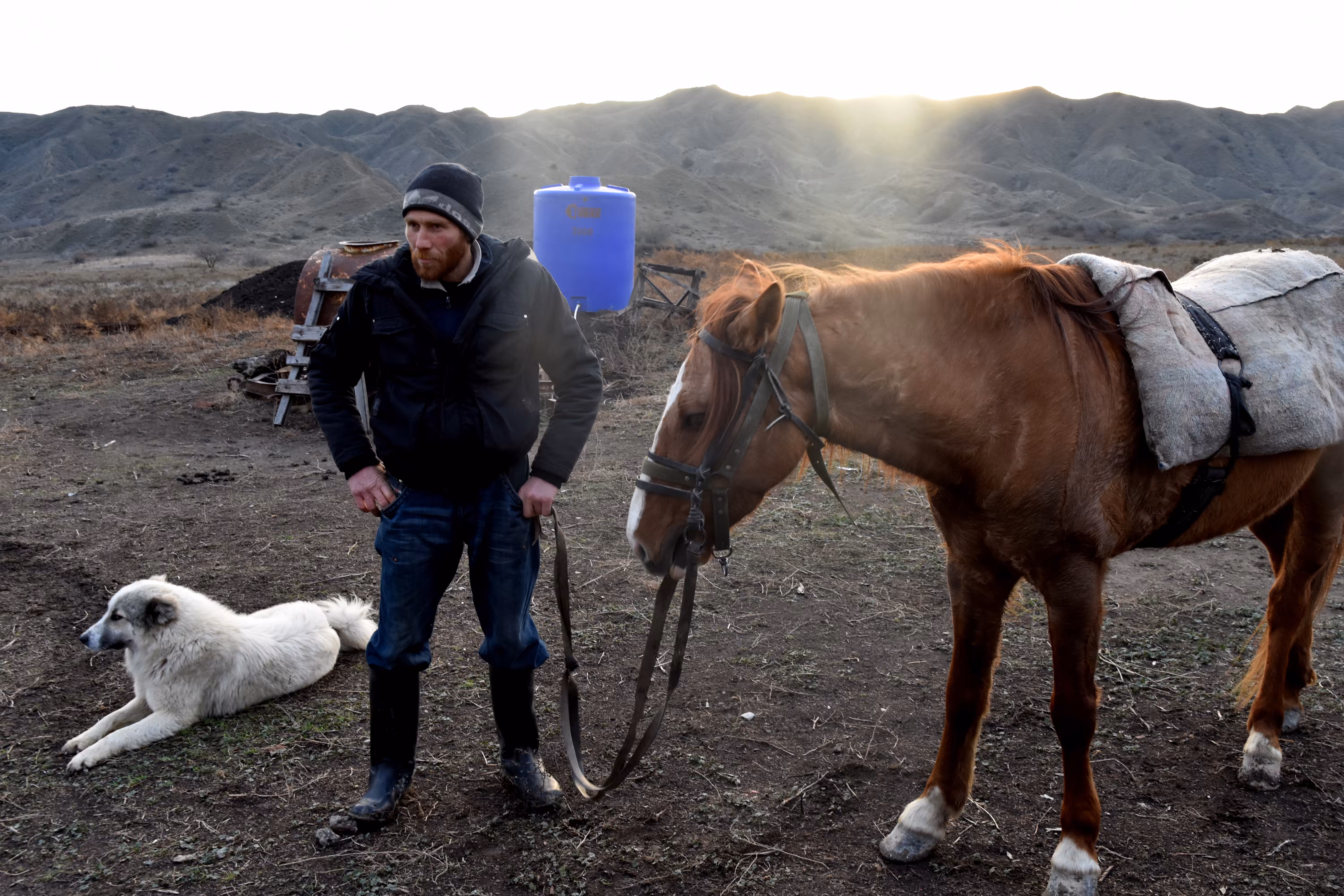 Shepherd with his horse and dog