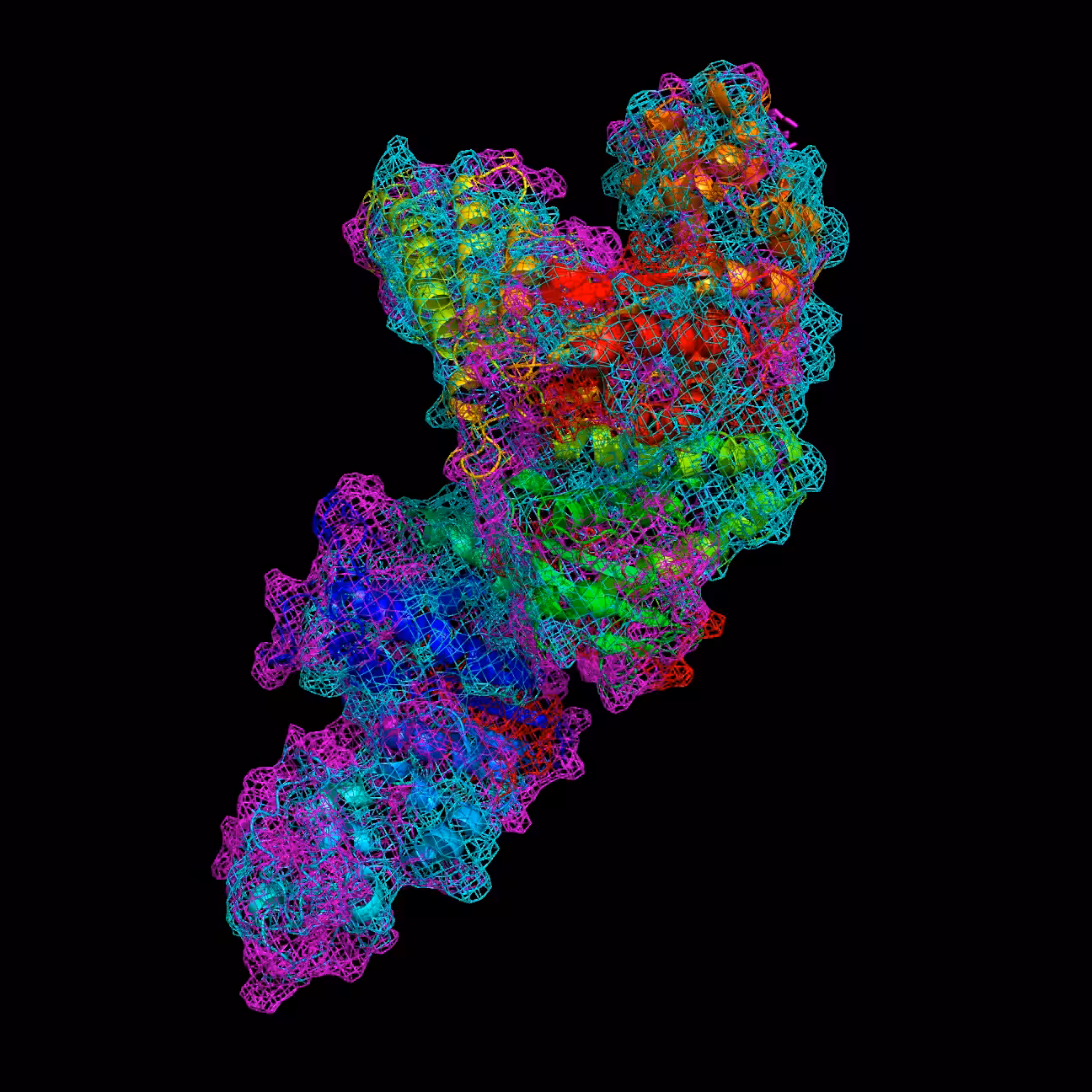 Prime Time – Taq polymerase cagebrow