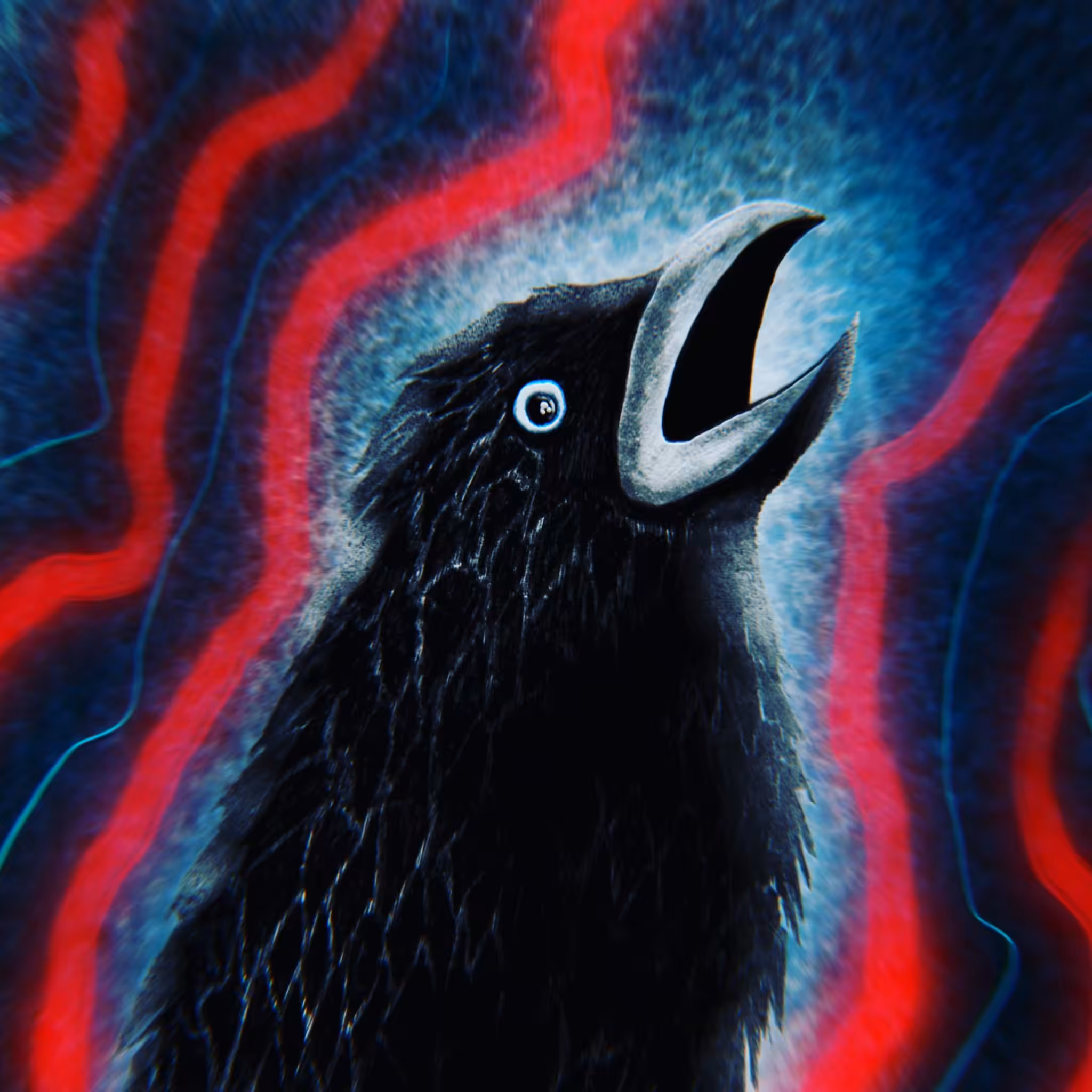 Black Bird