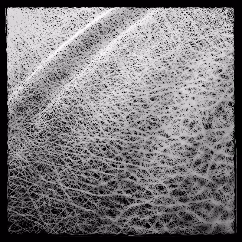 generative cotton XII
