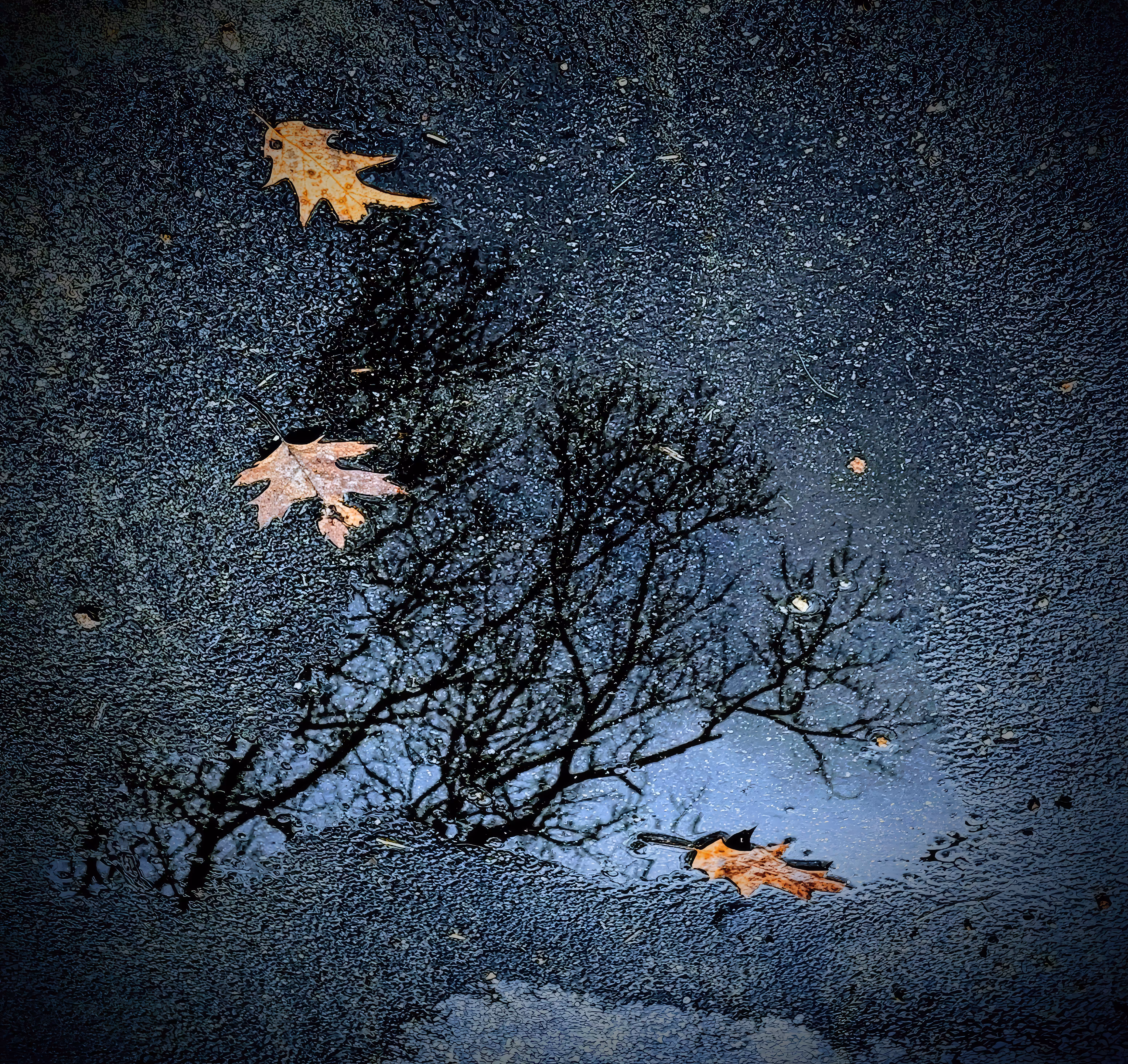 Look Beyond