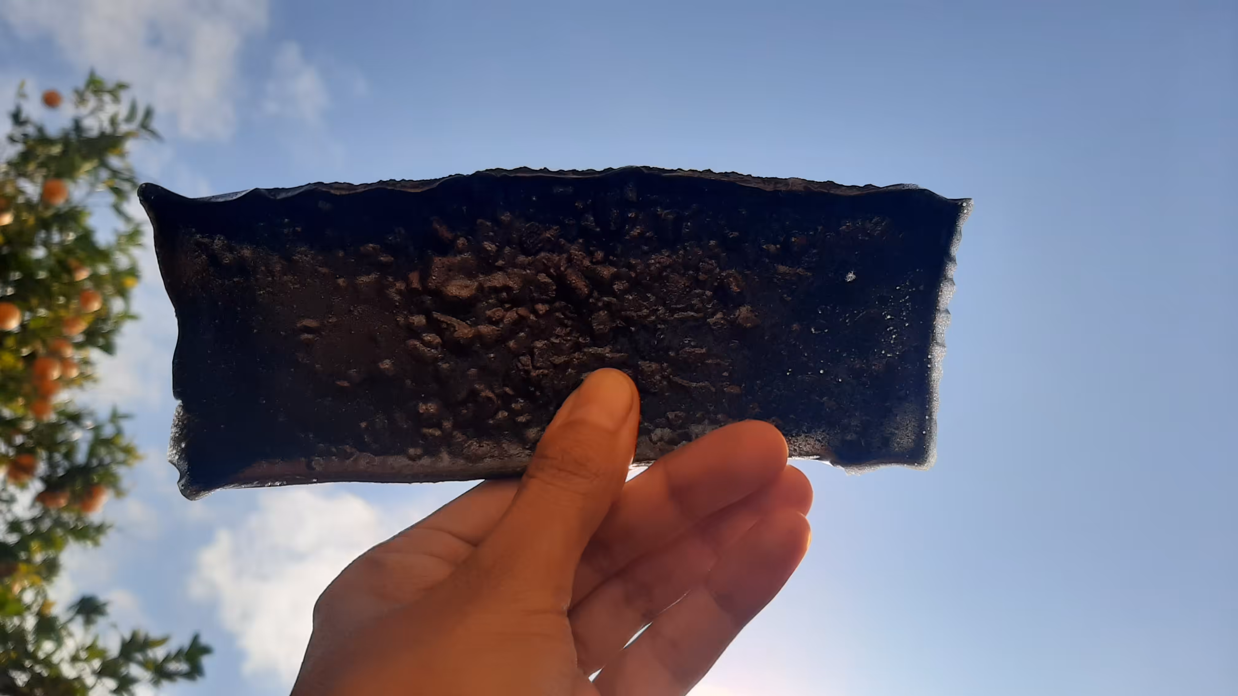 Flat rectangle, against sky and orange tree, held in my hand, top view