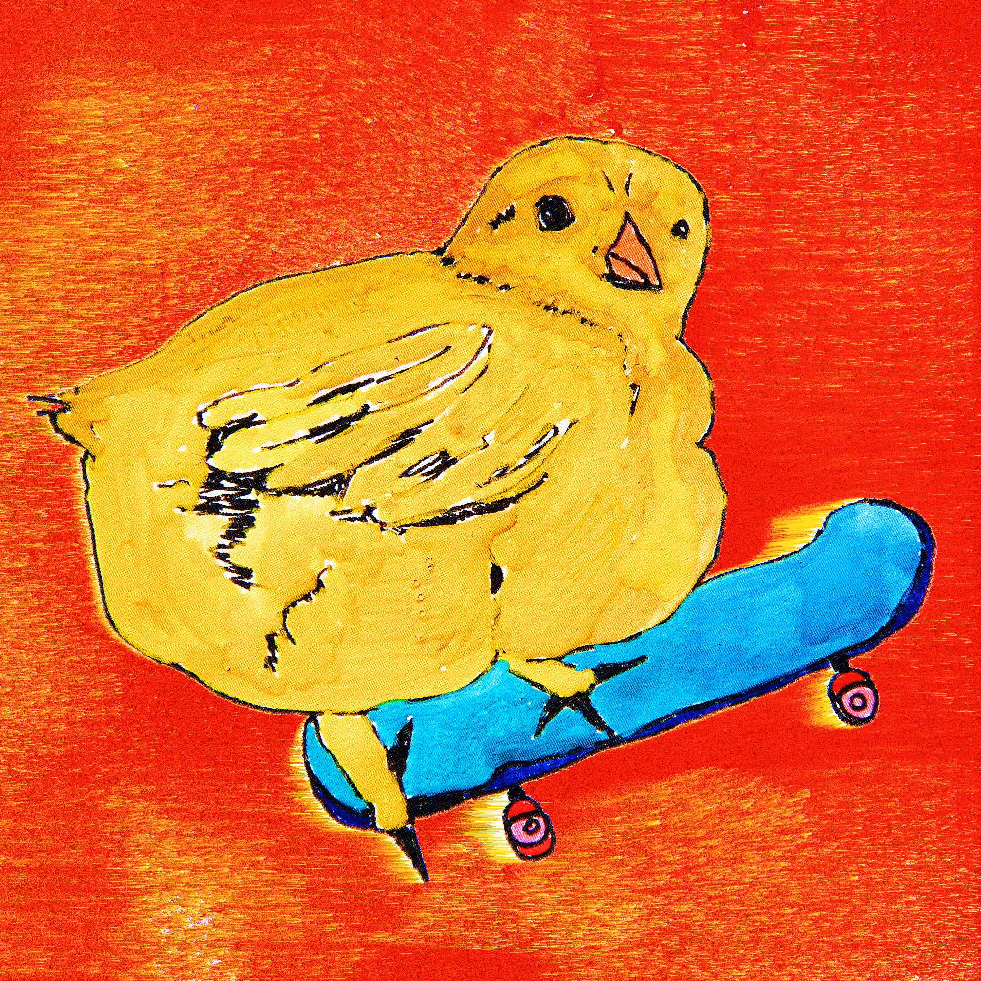 Pollito Flama