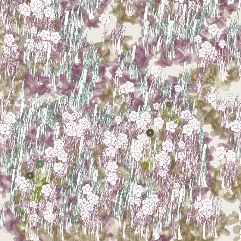 Petri 1500 #1375