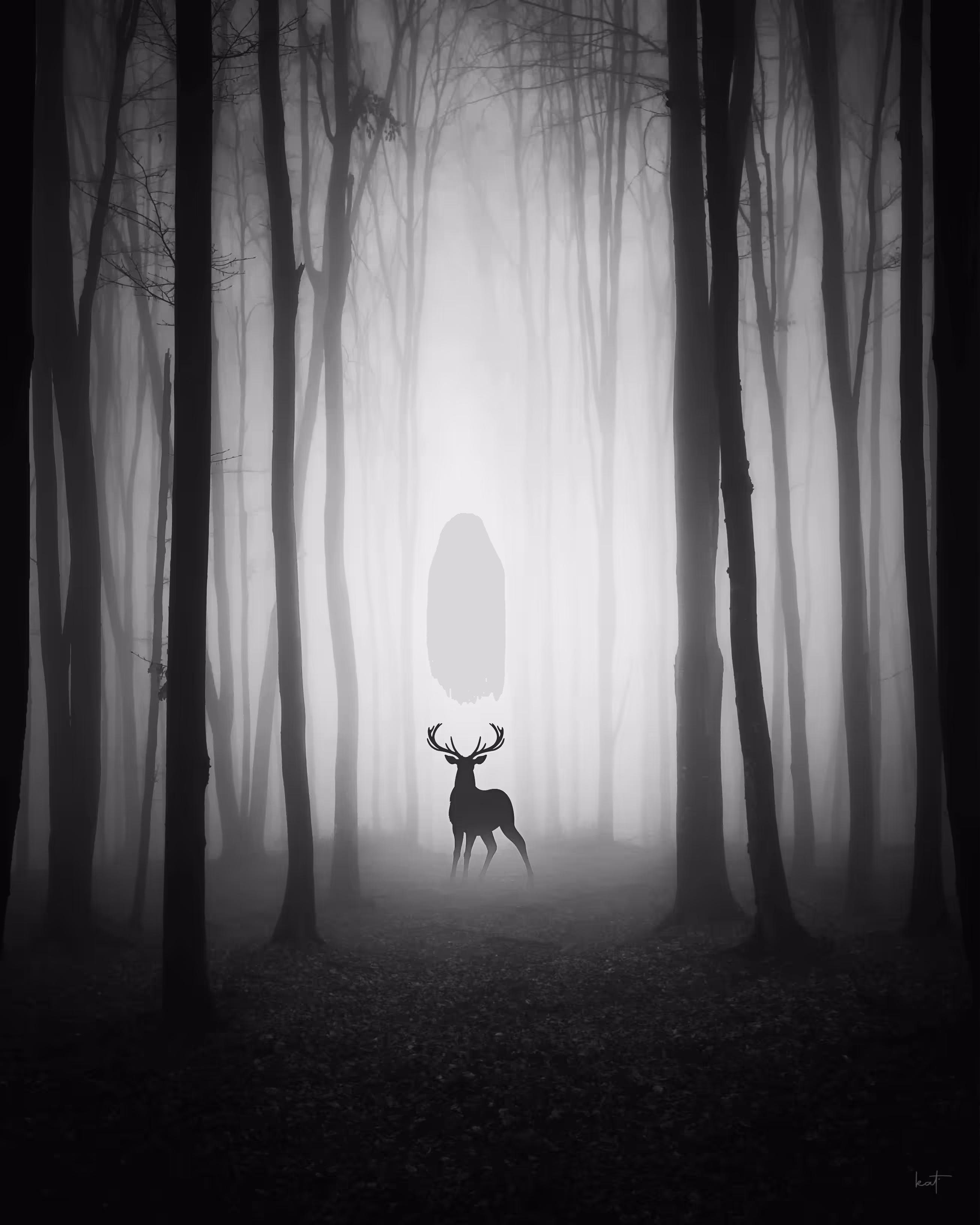 In the Woods