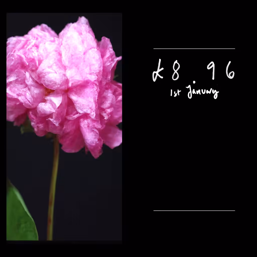 Price Per Stem 14