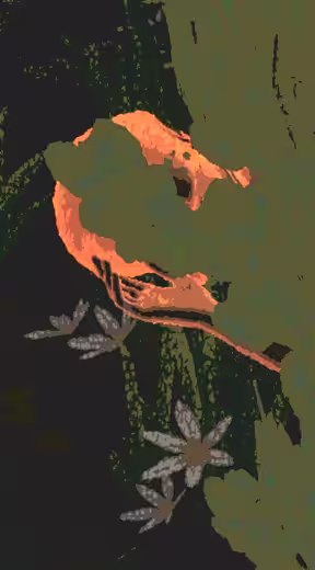 218 Abstract Melancholy