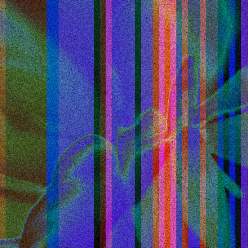 CLDCSMC #181