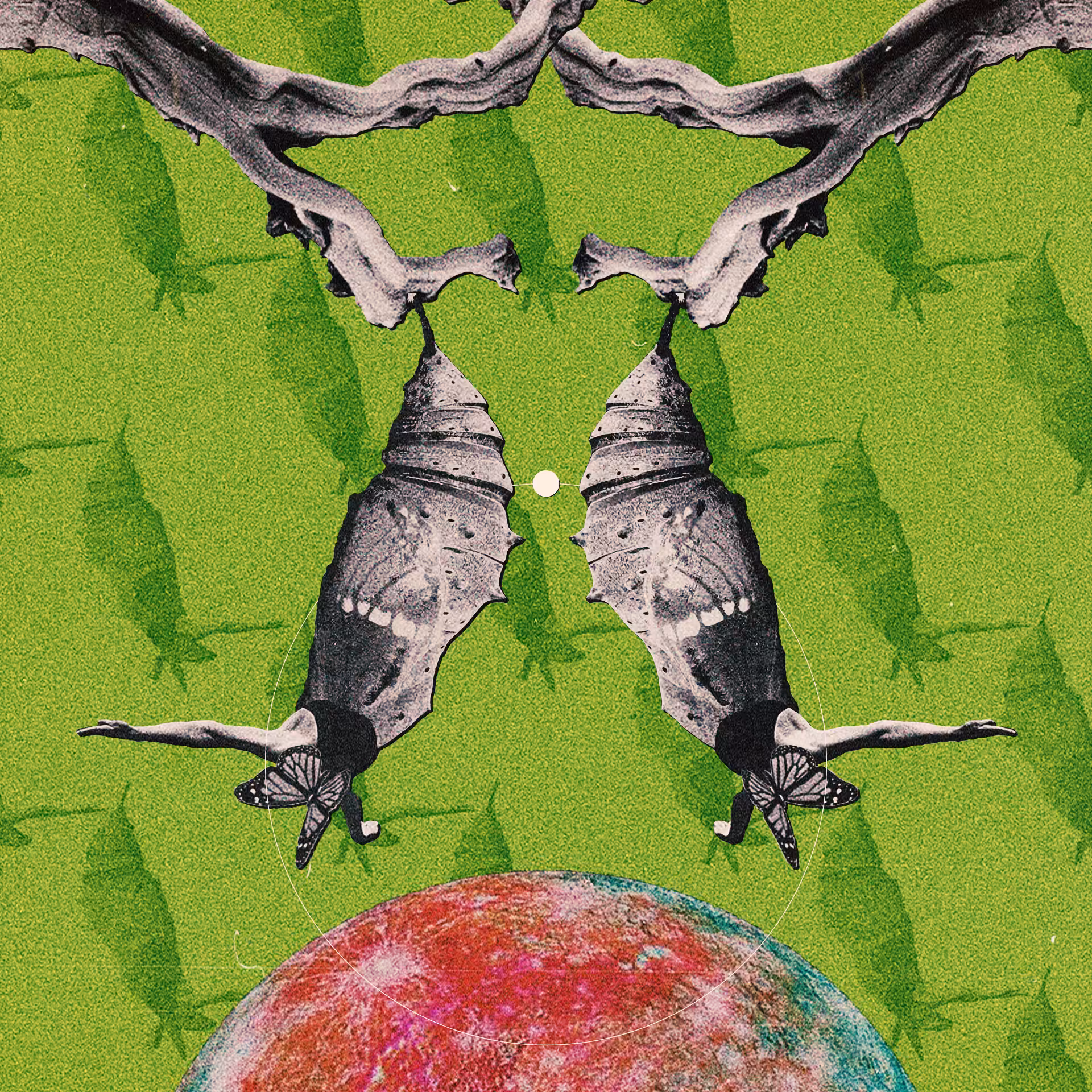 Cocoons