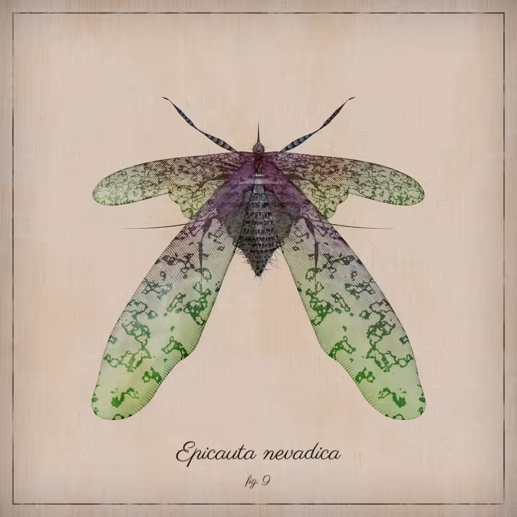 ProcGen Entomology #159