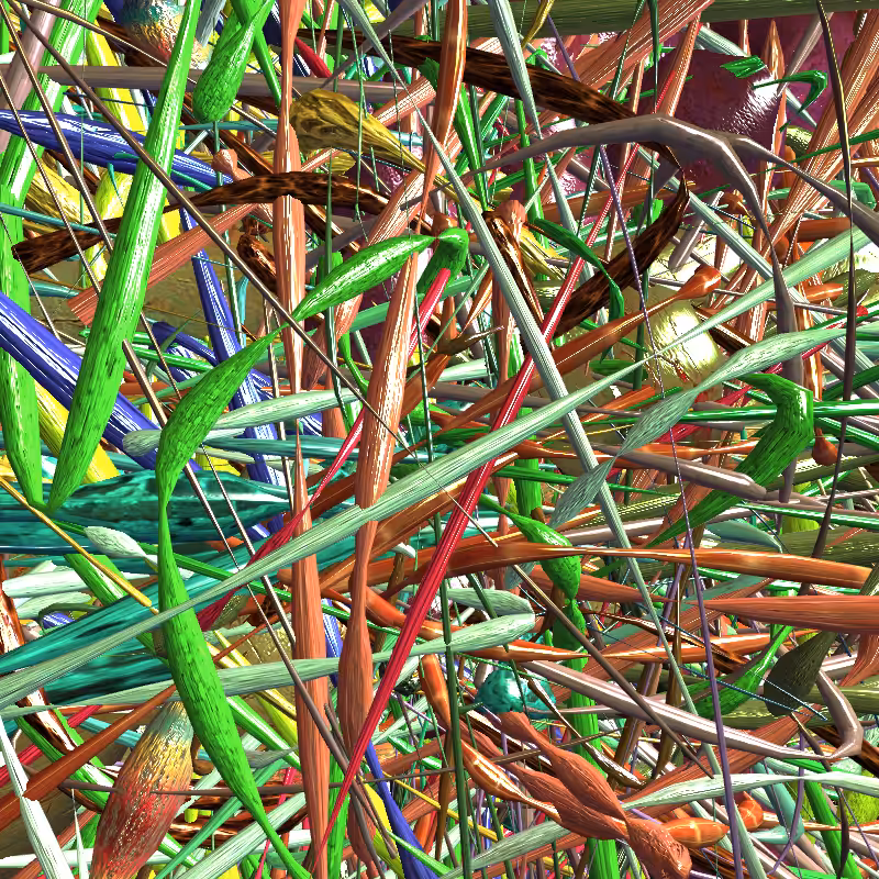 Prismatic Thickets #882
