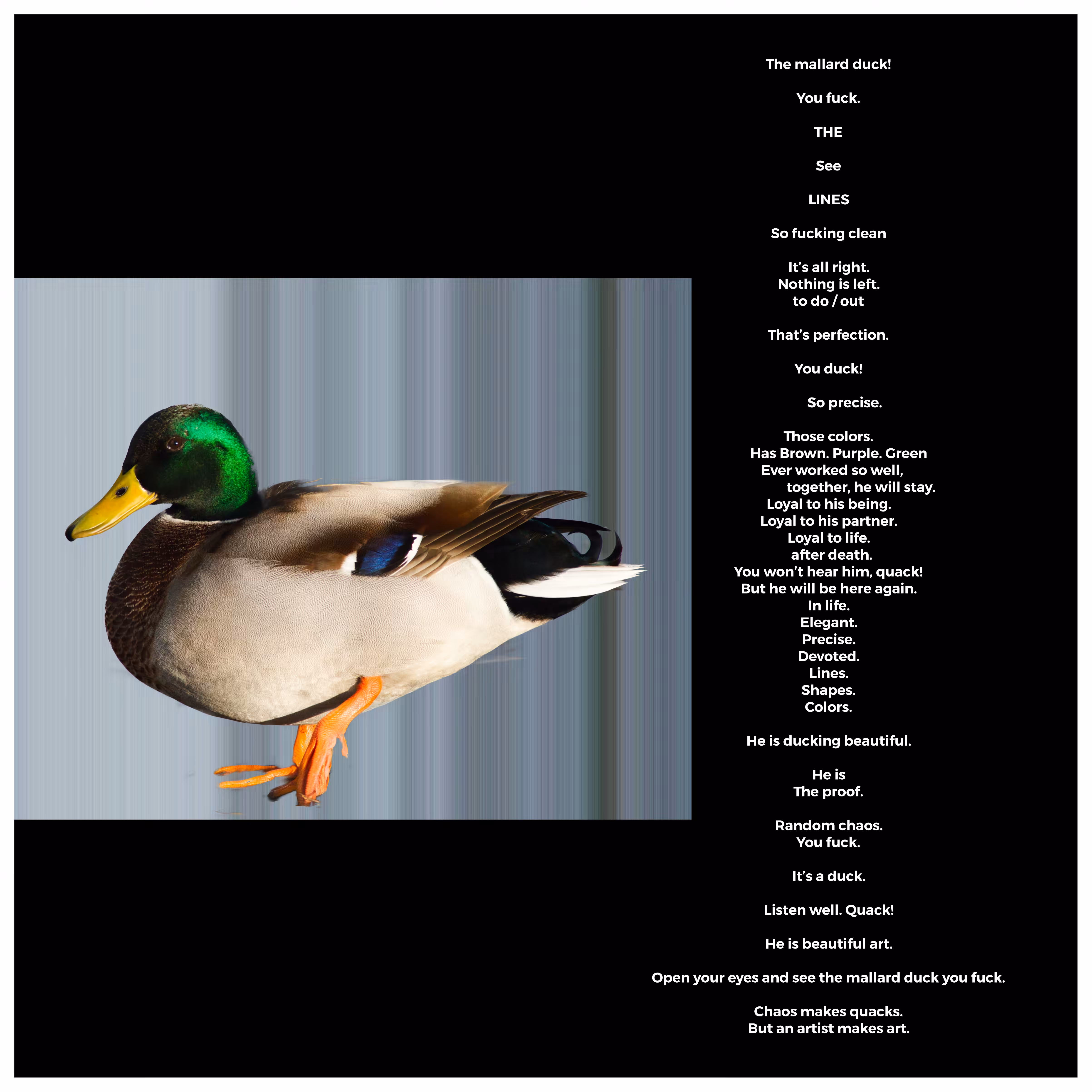 🦆 is proof