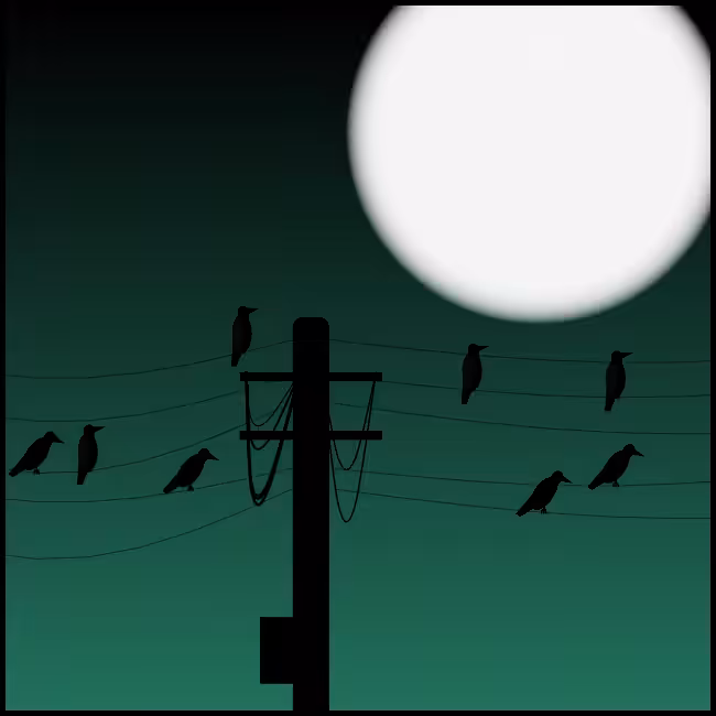 Crows #1