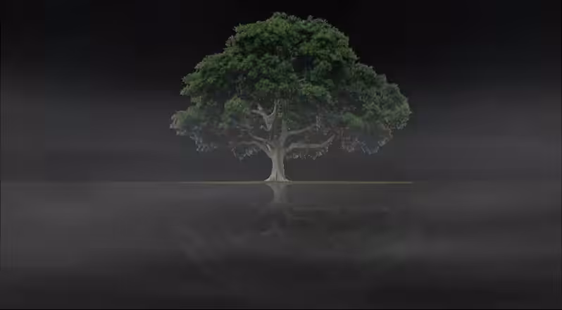 Tree #1