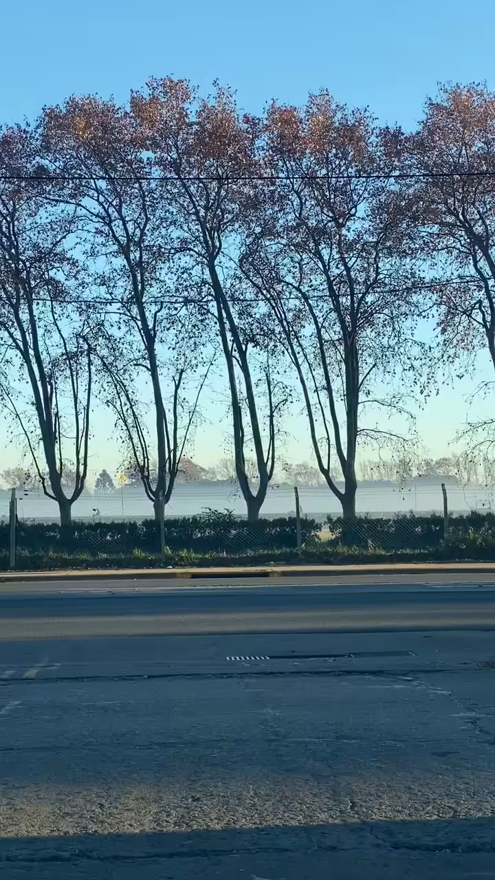 One Second Every Day #1
