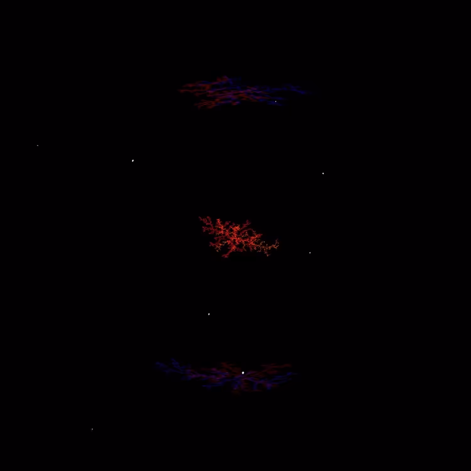 Mycelium Dream 2/3