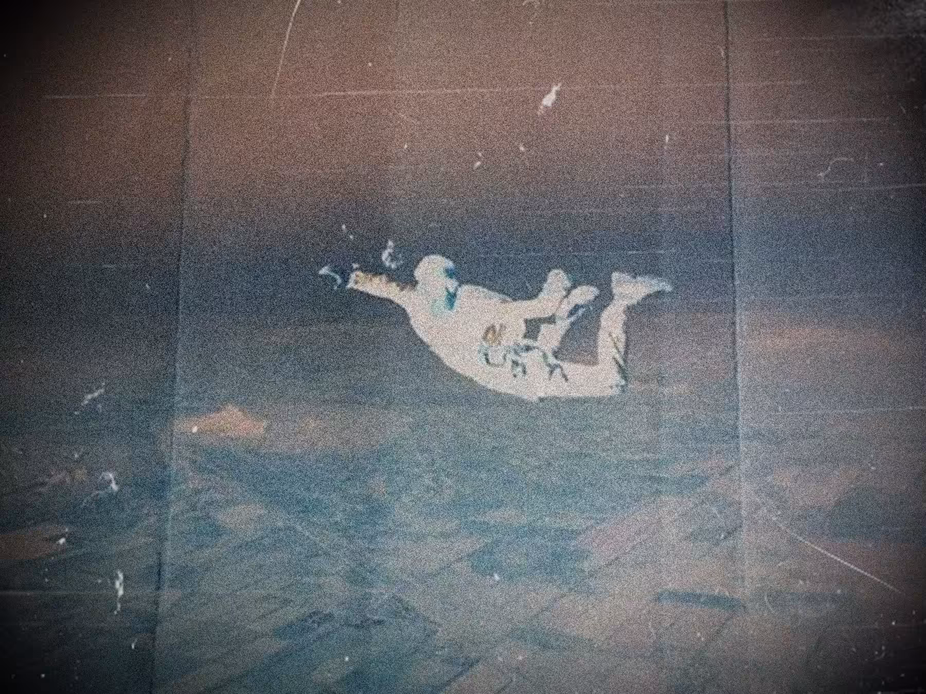 KenoNitro_Freefall_1