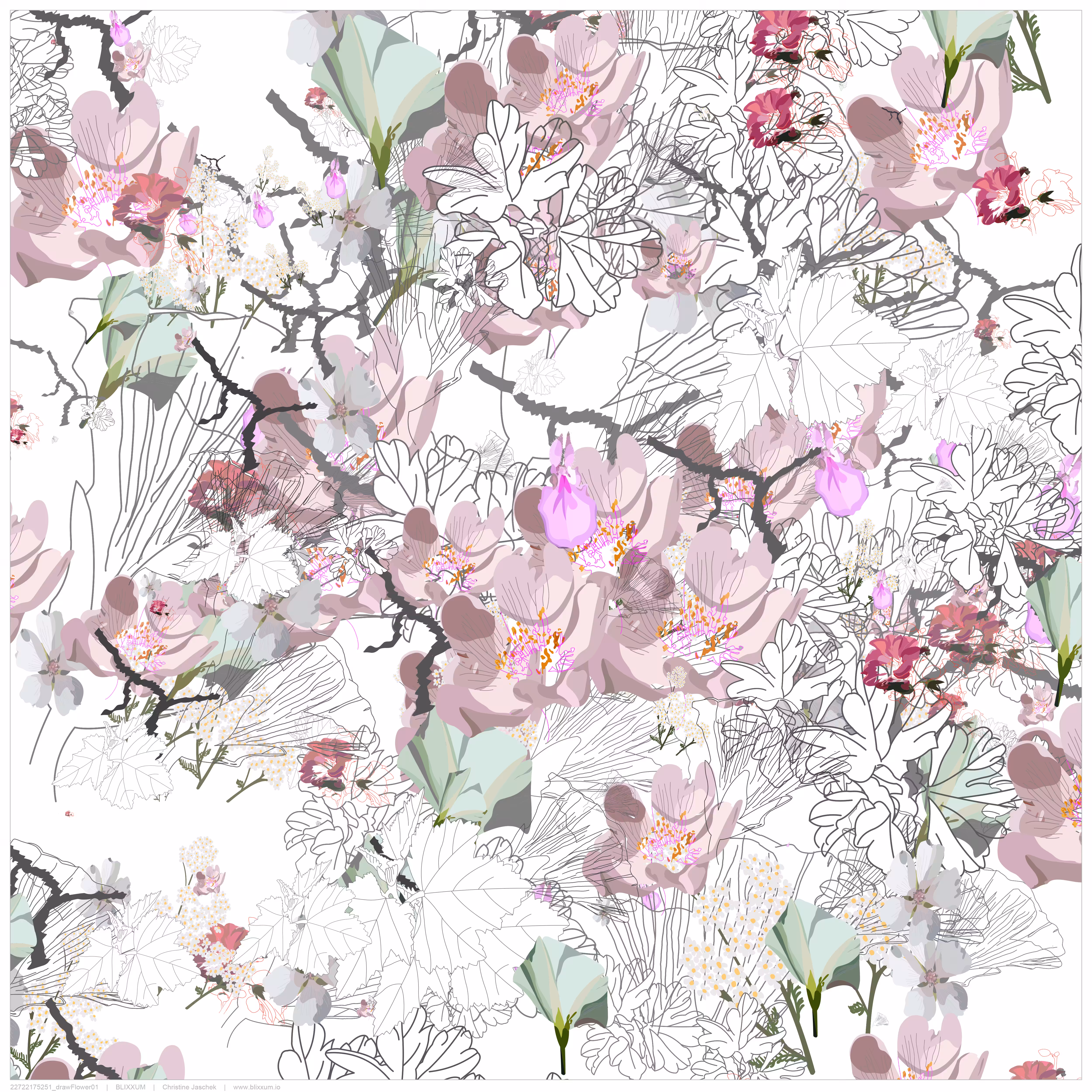 drawFlower01