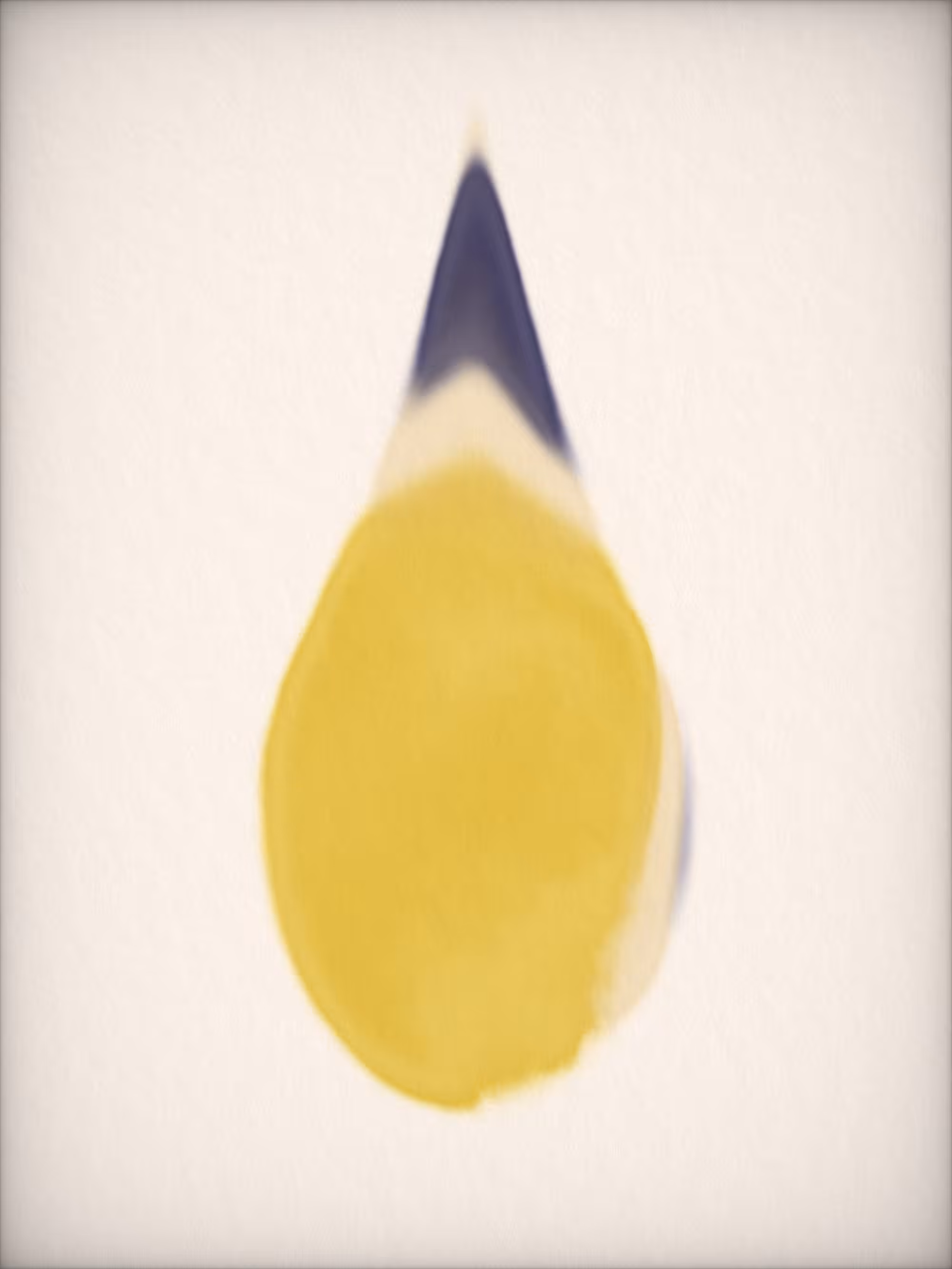 Drop #41