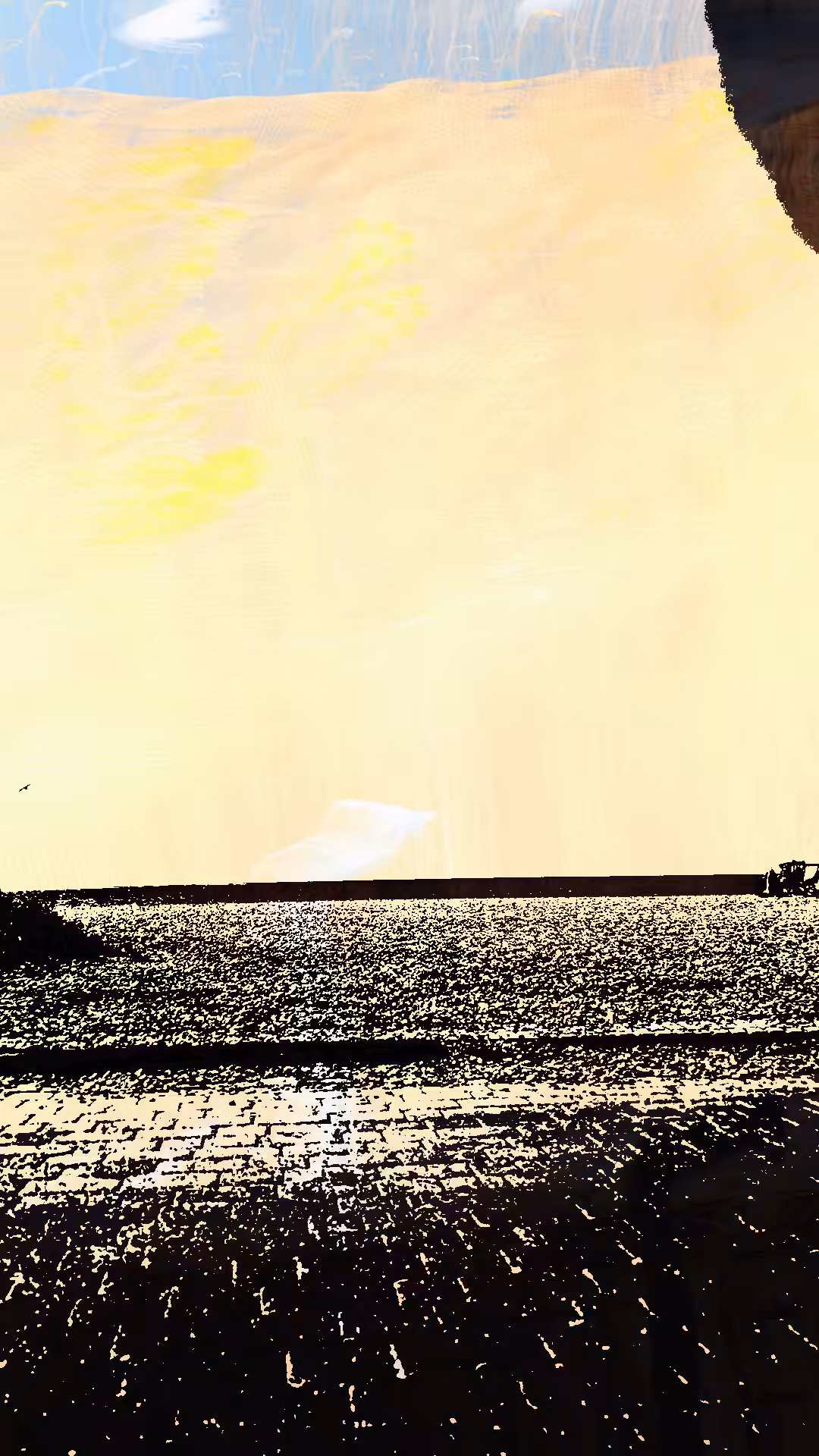 2025-07-28