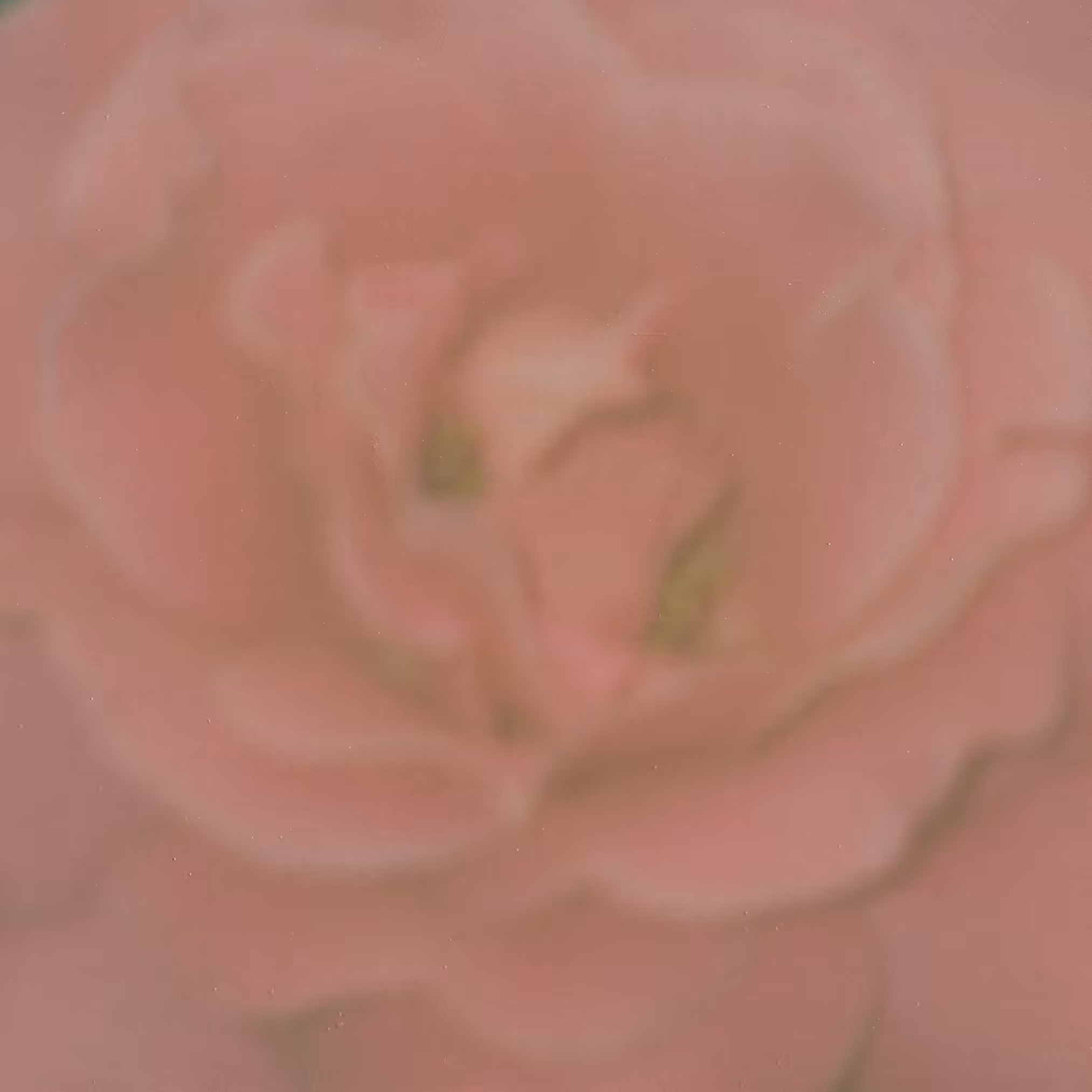 Opening (A Thousand Years)