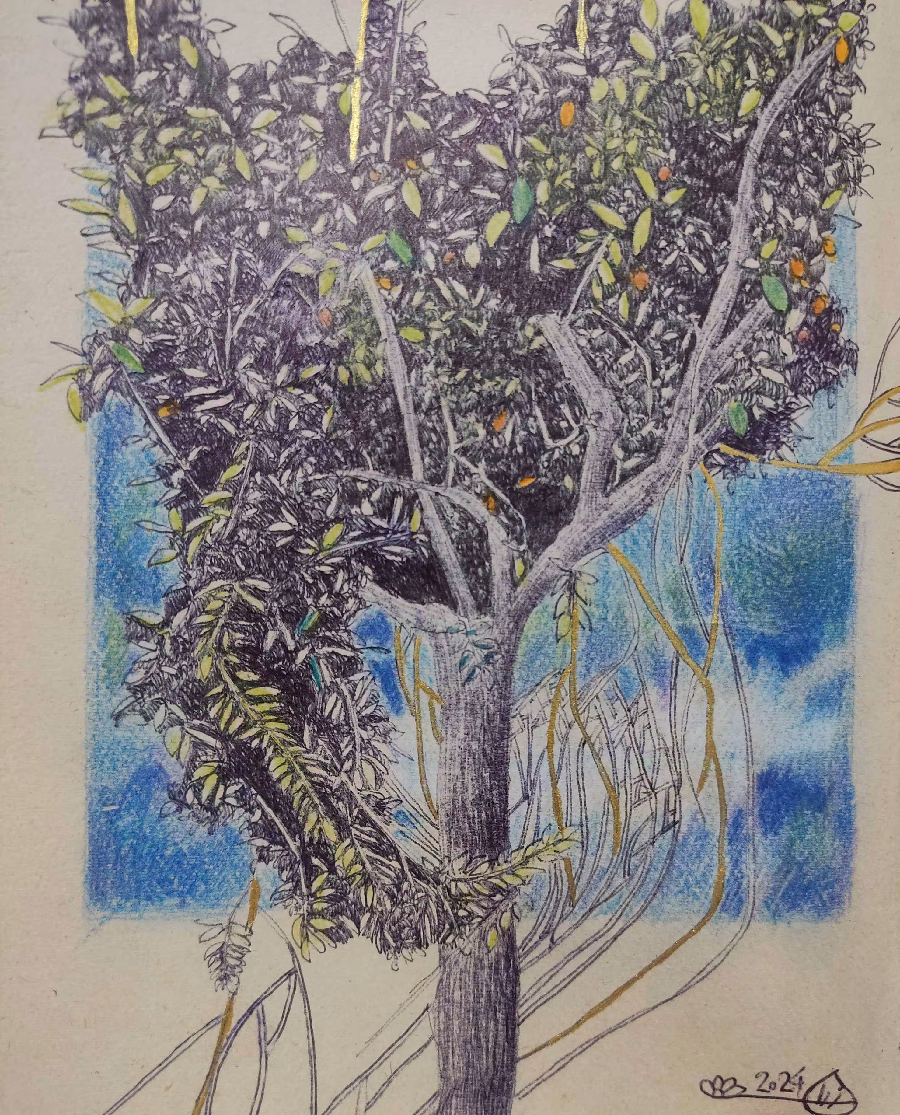 Orange tree #5