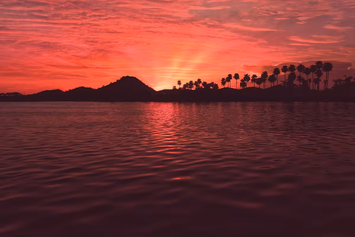 Under a Scarlet Sky