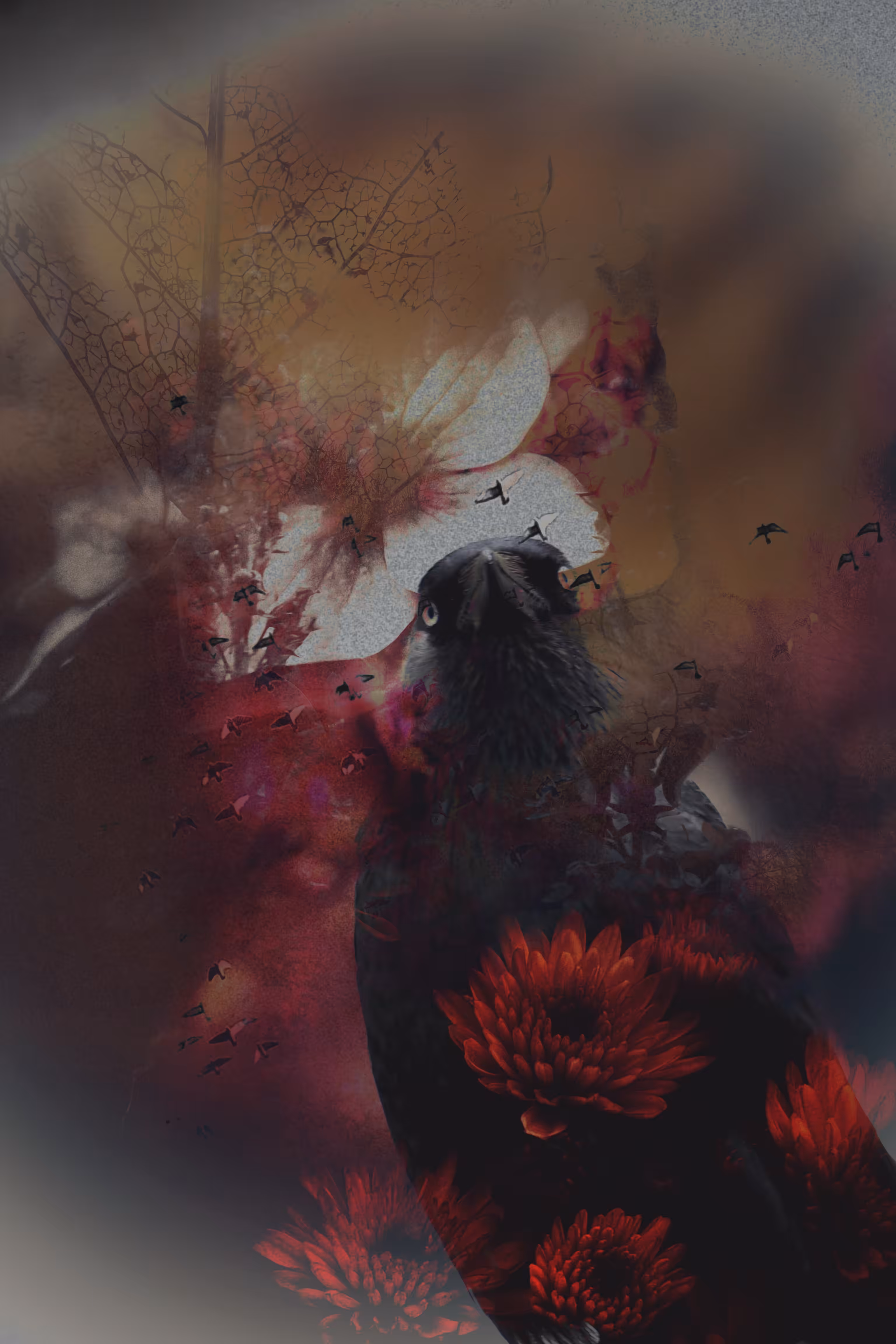 The Forgotten Meadow: Riot of Colour & Flight