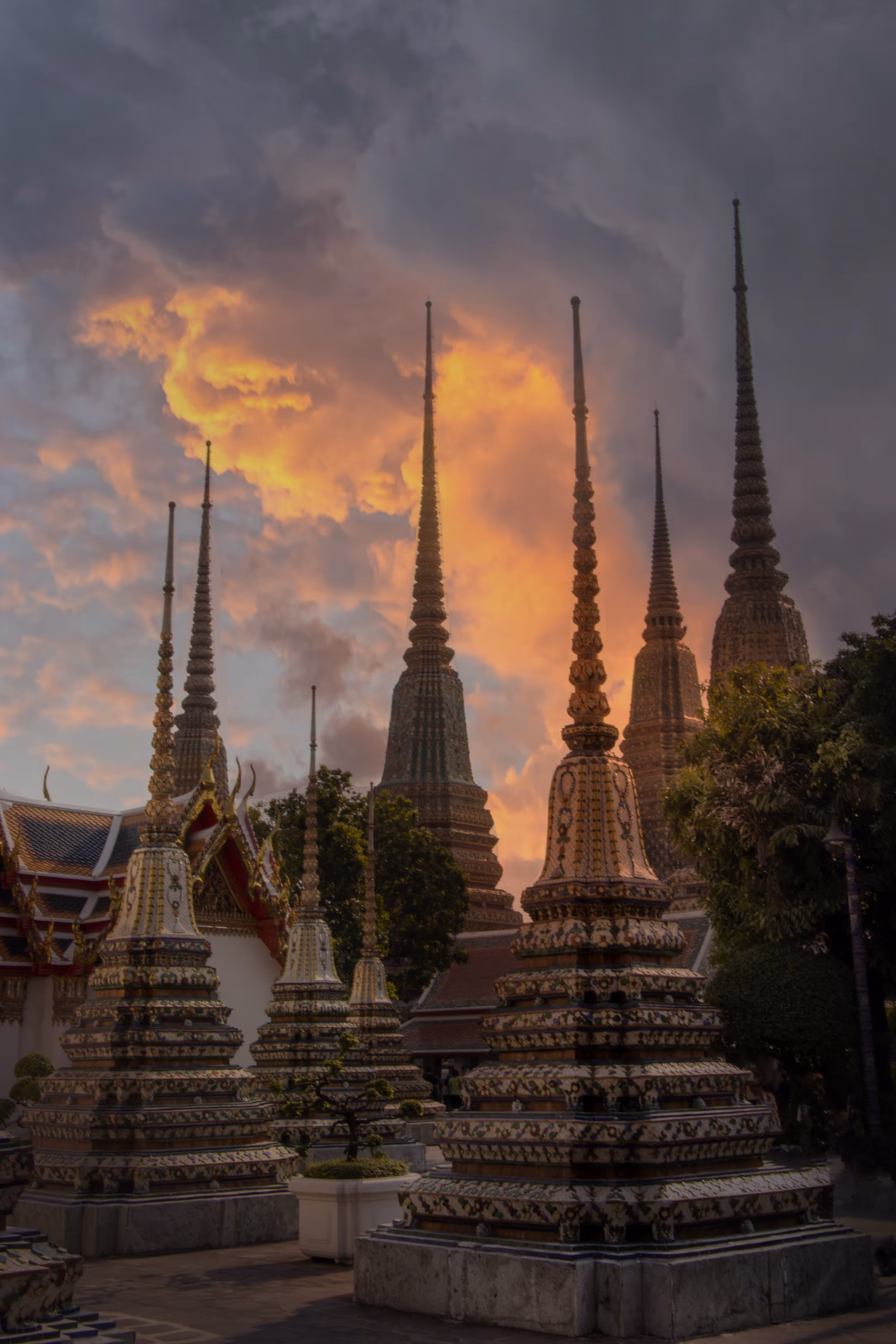 Roving Around the World: 8 points