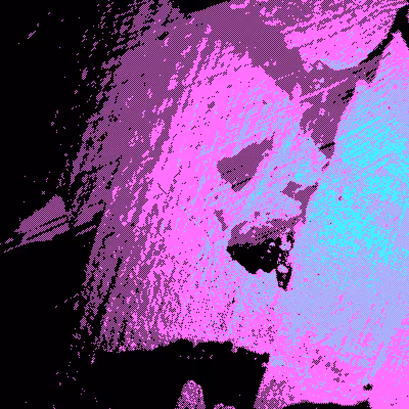 Scream