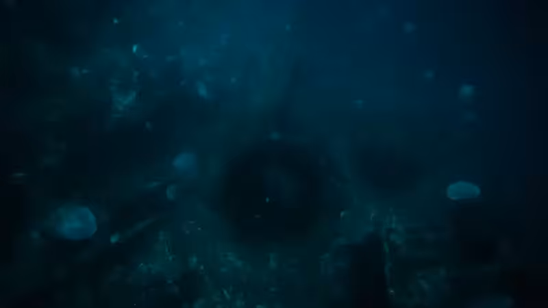 DX01: SINGULARITY 01210